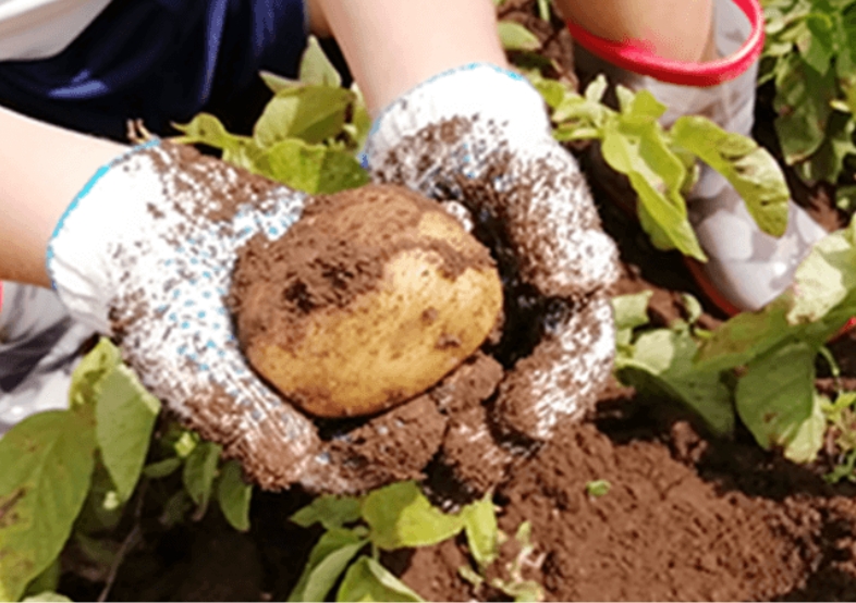自園調理による手作り給食