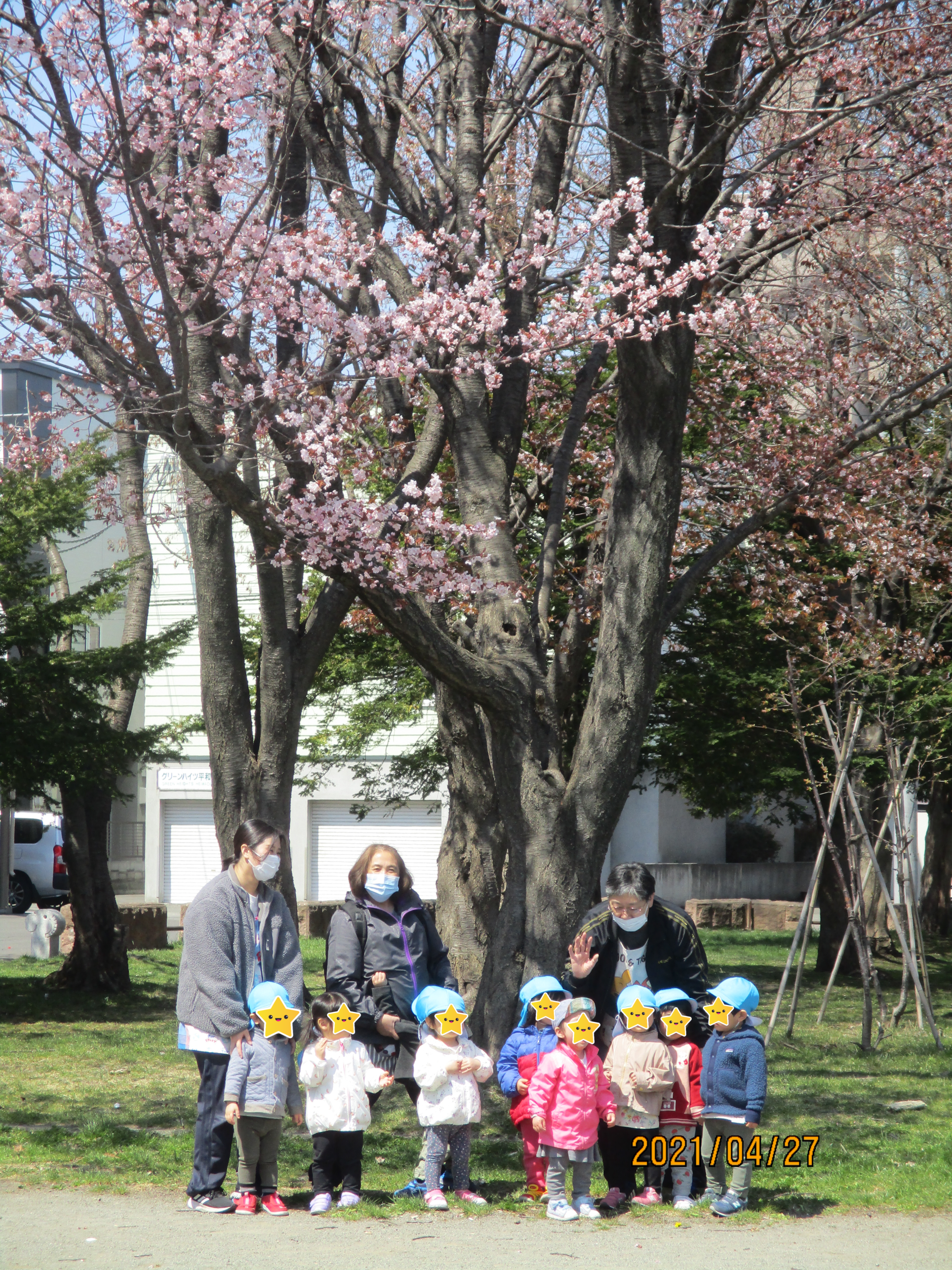 白石園　お花見散歩