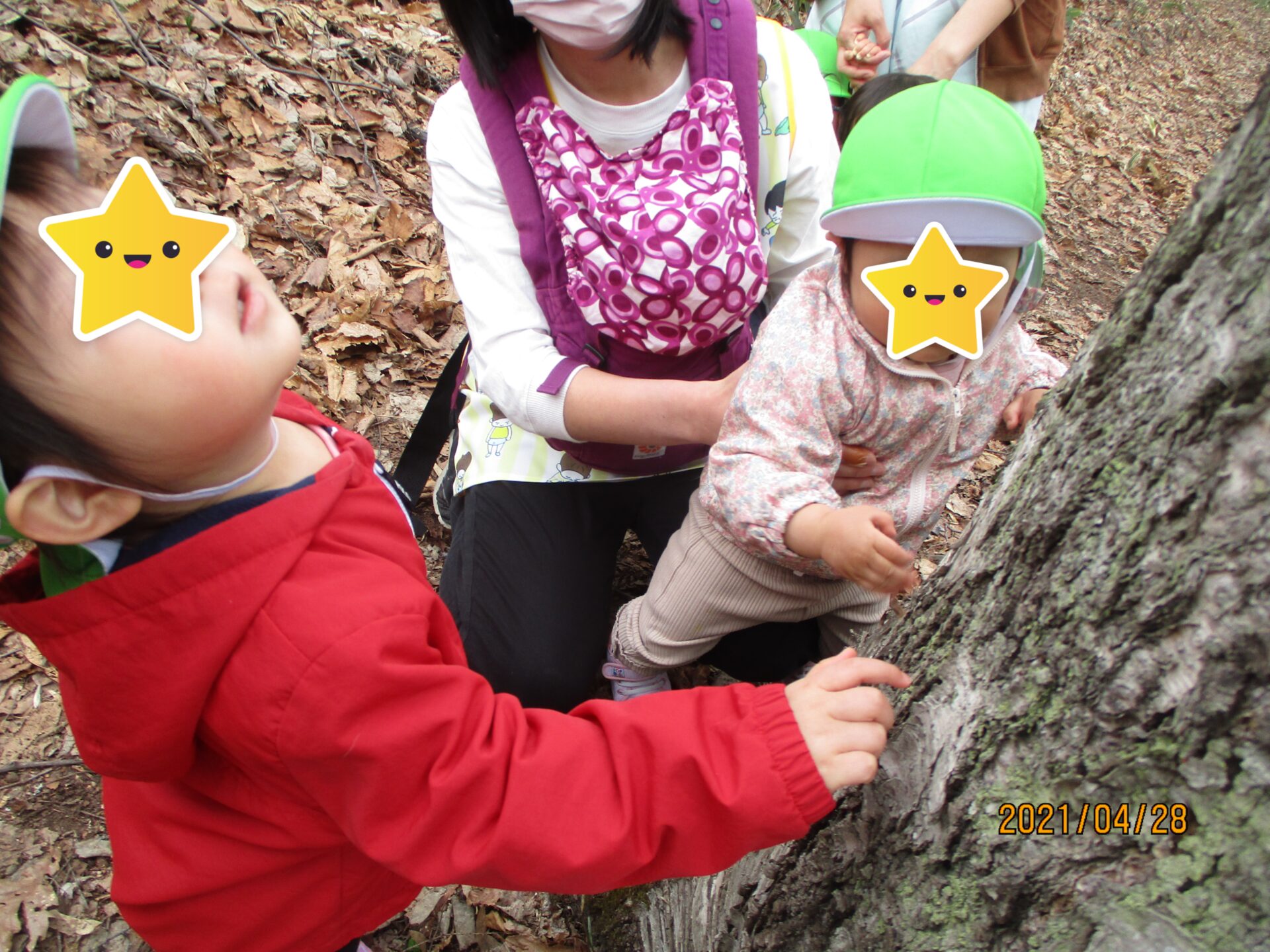藤野園　これなぁに？