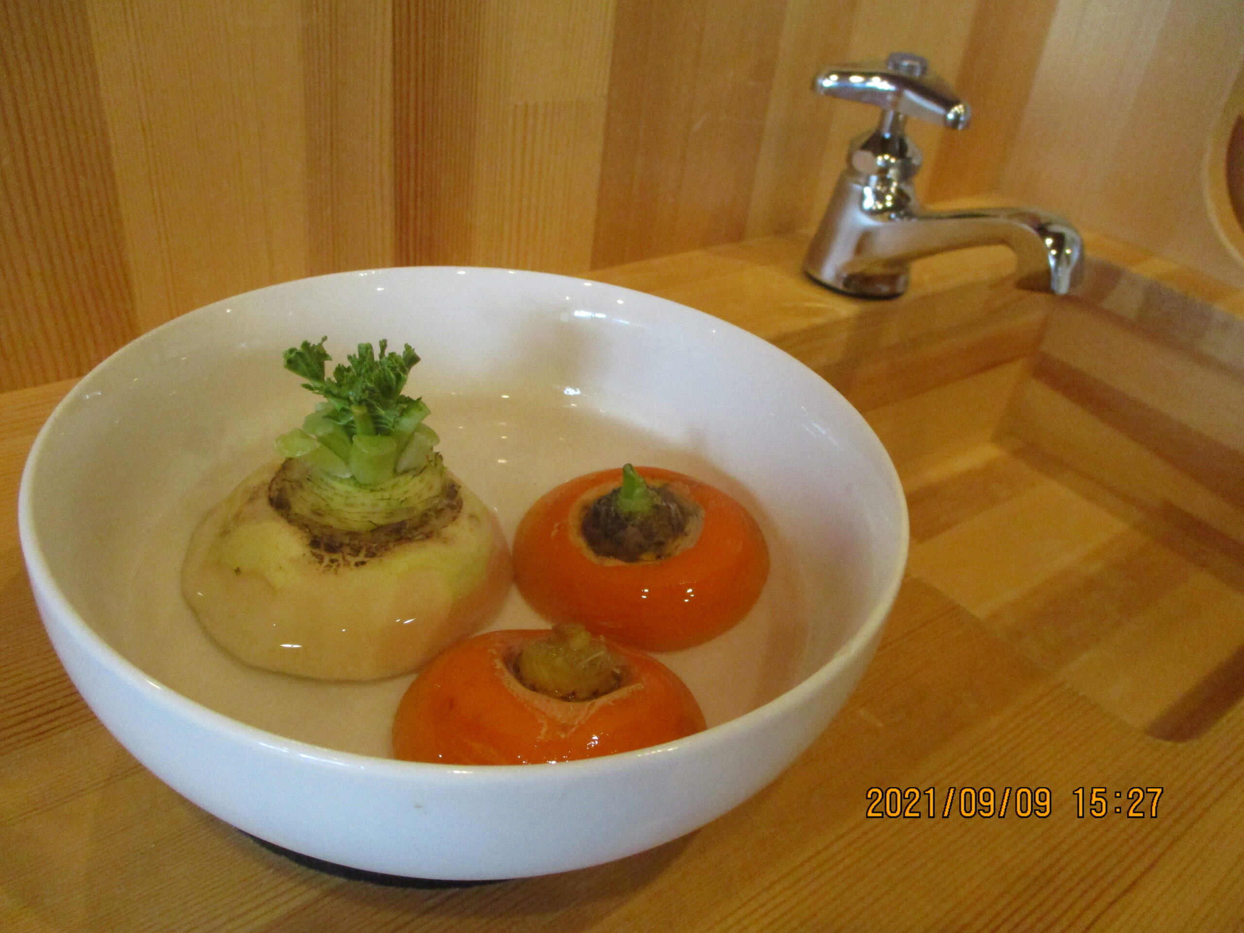 藤野園　にょきにょき…