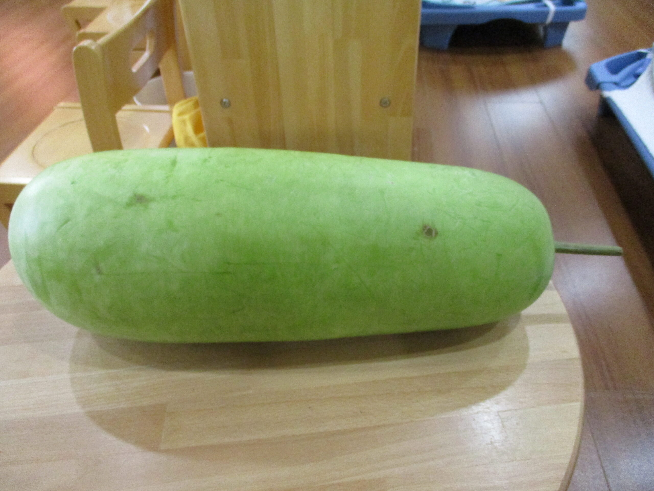 新川園　夕顔の実🥒