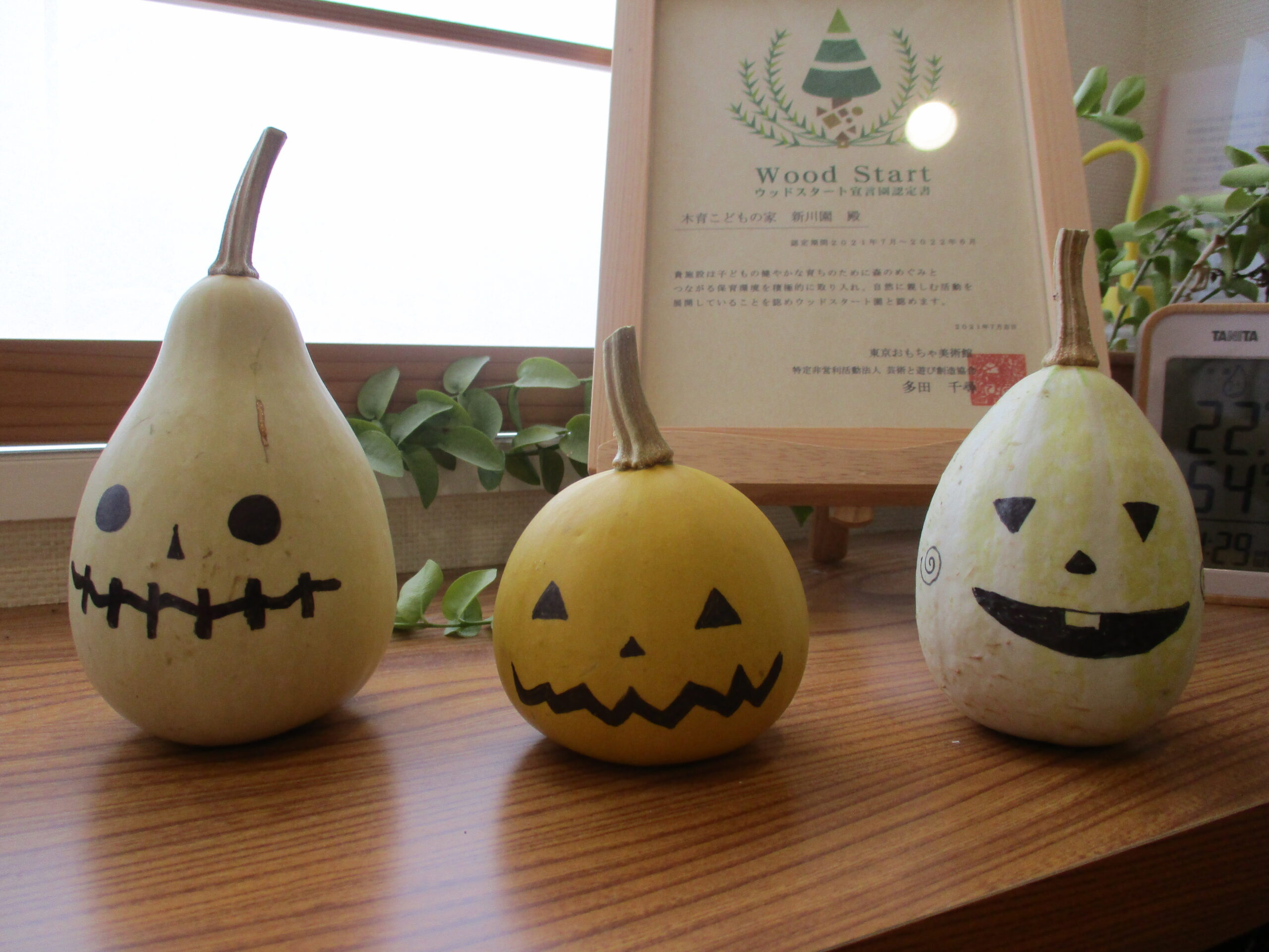 新川園　Happy Halloween 👻