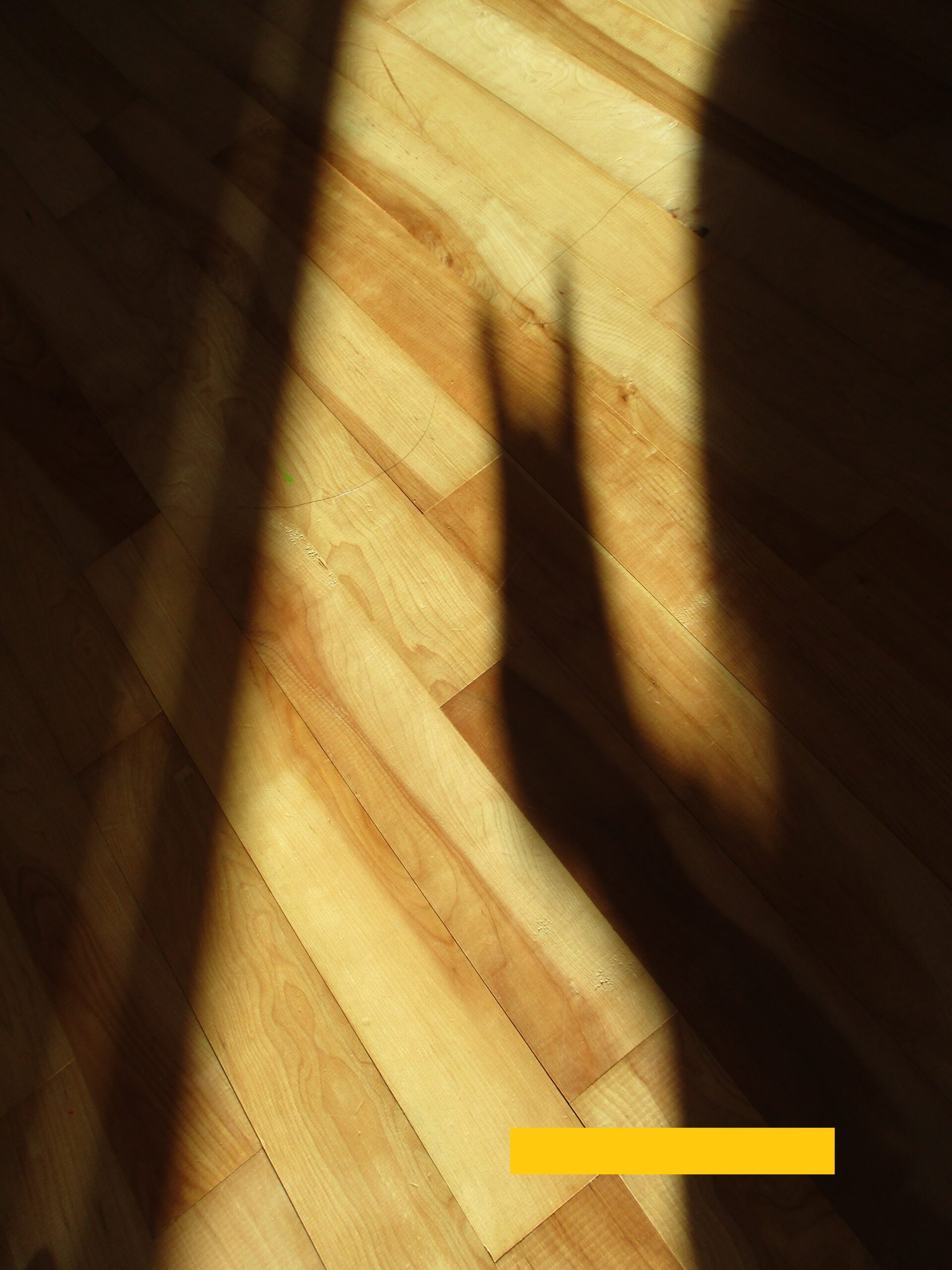 藤野園　　天気がいい日の朝✨