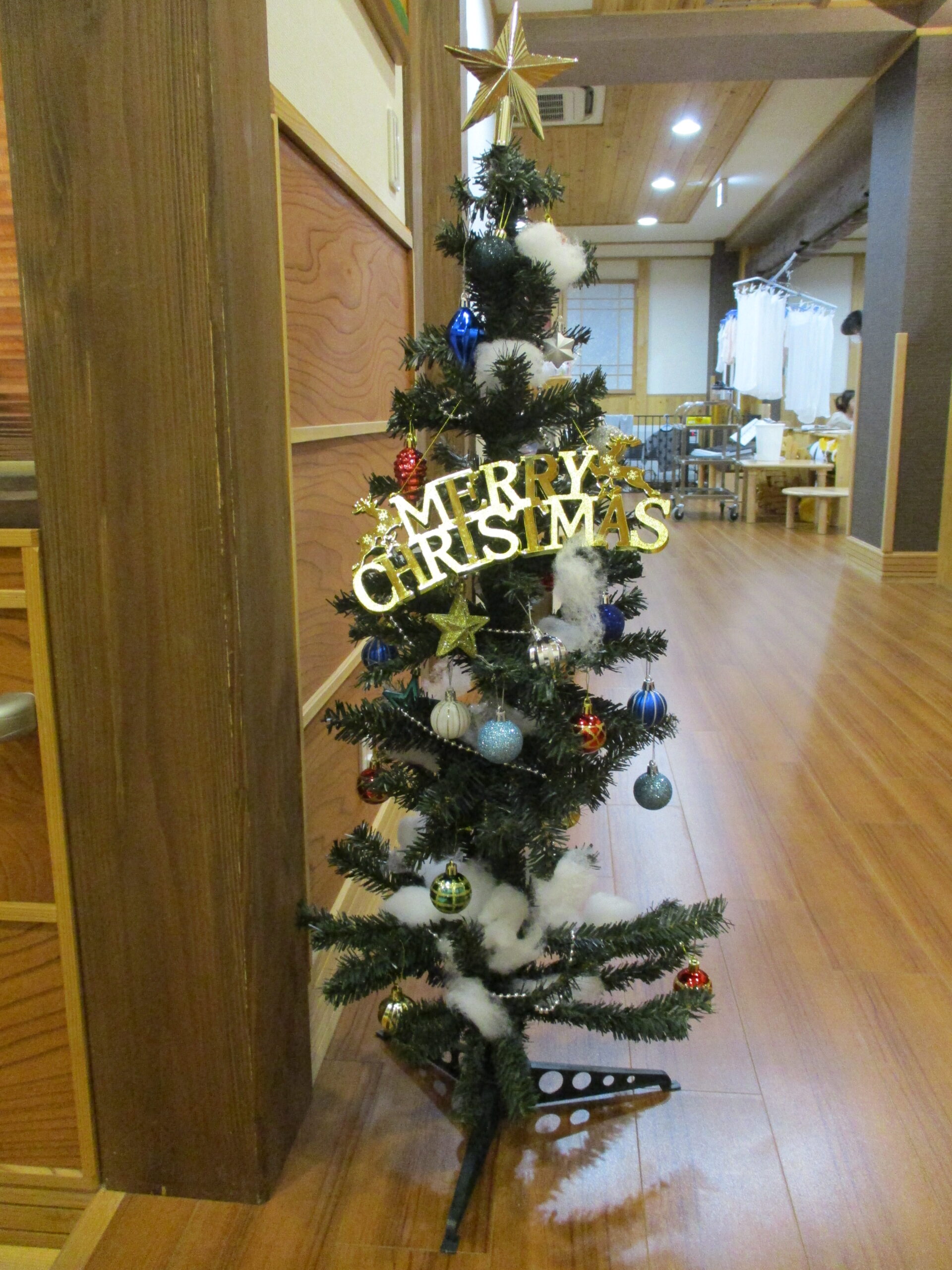 新川園　ジングルベ～ル🎅🎵