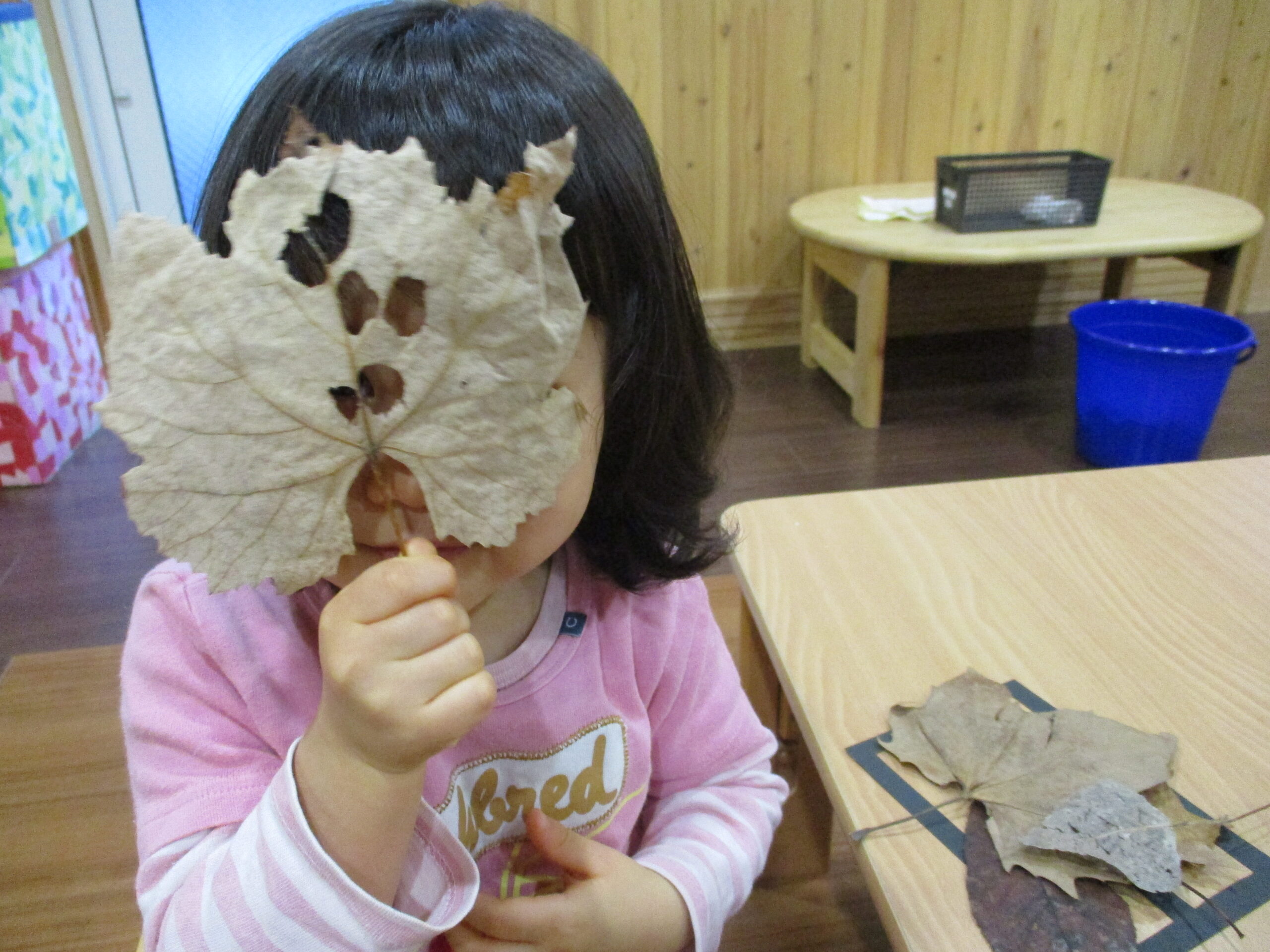 新川園　葉っぱのステンドグラス