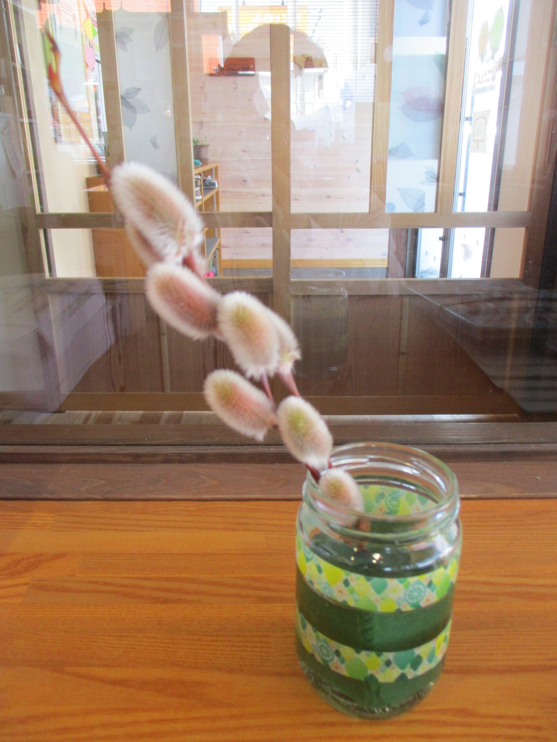 藤野園　この木はなぁ～んだ？？