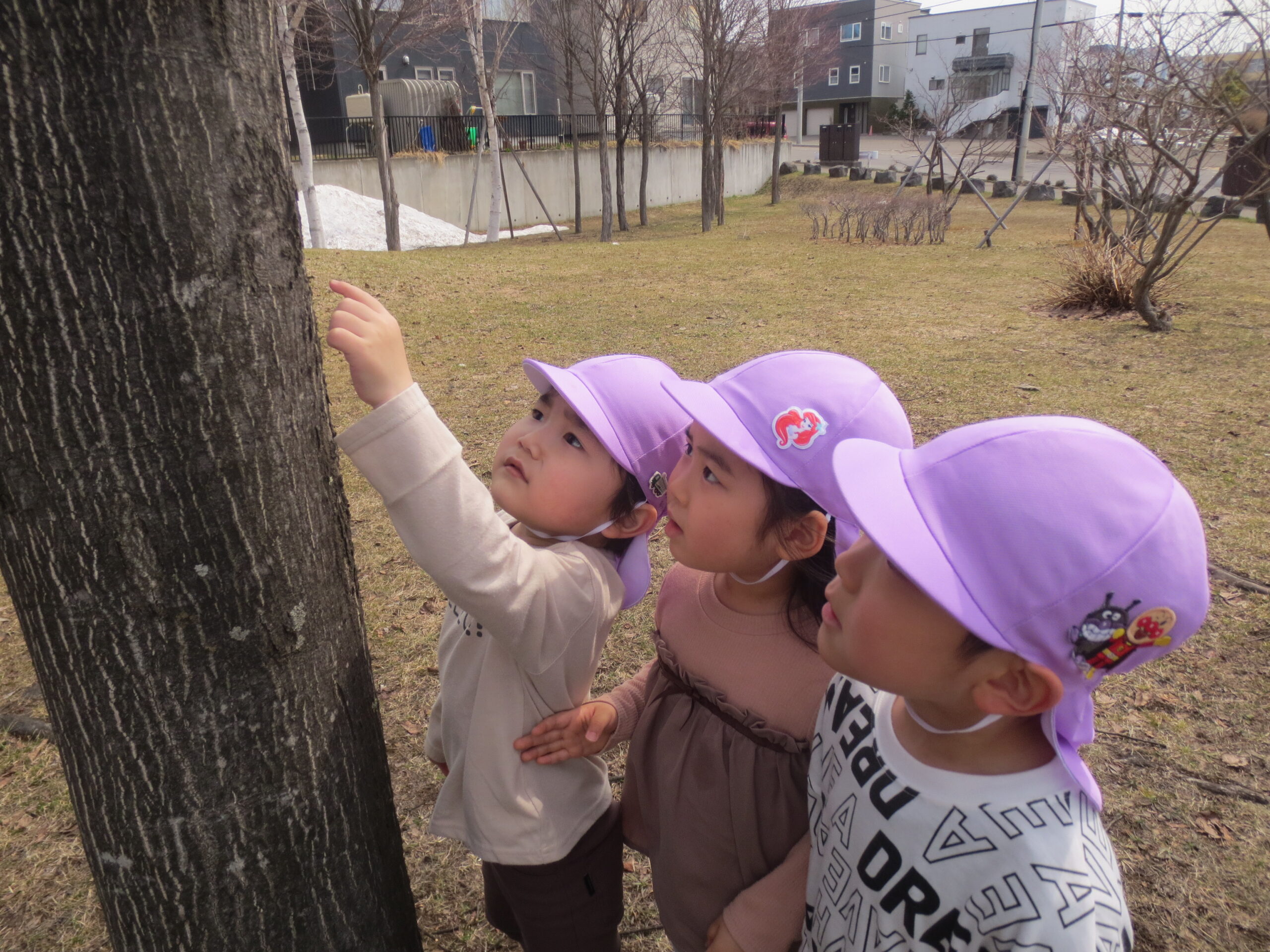 南の沢保育園　自然と触れ合う楽しさ