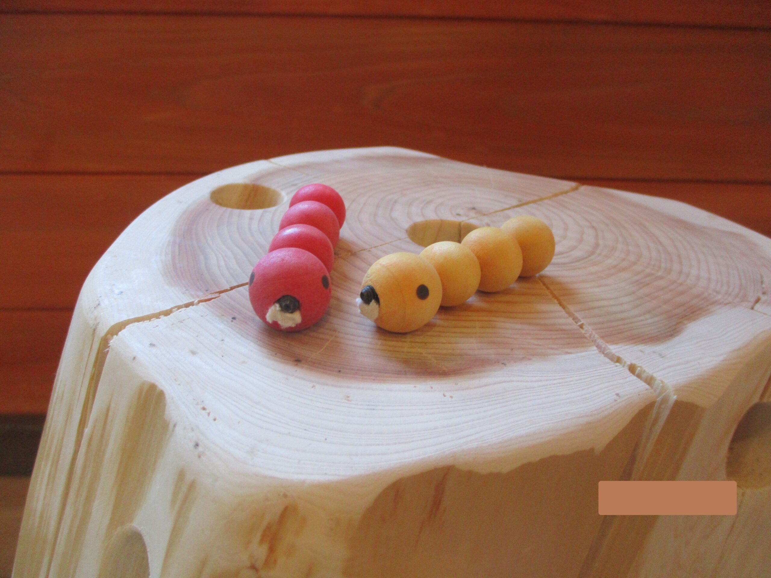 藤野園　新しいお友達✨