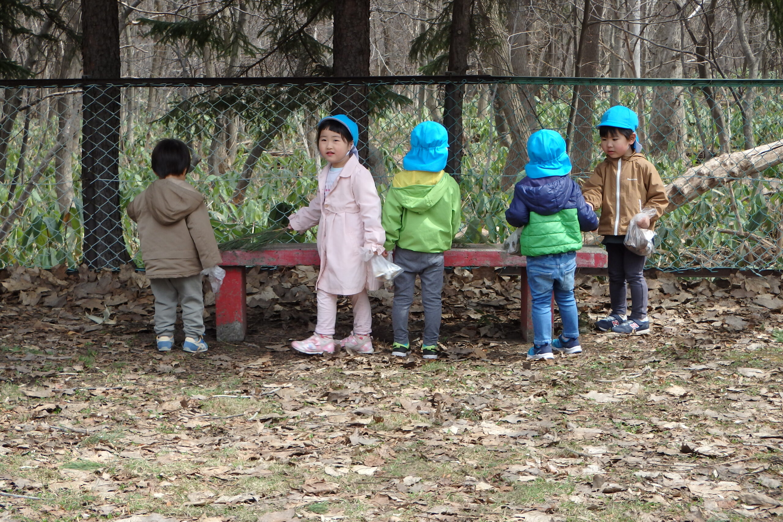 宮の森保育園　楽しい保育園生活😊