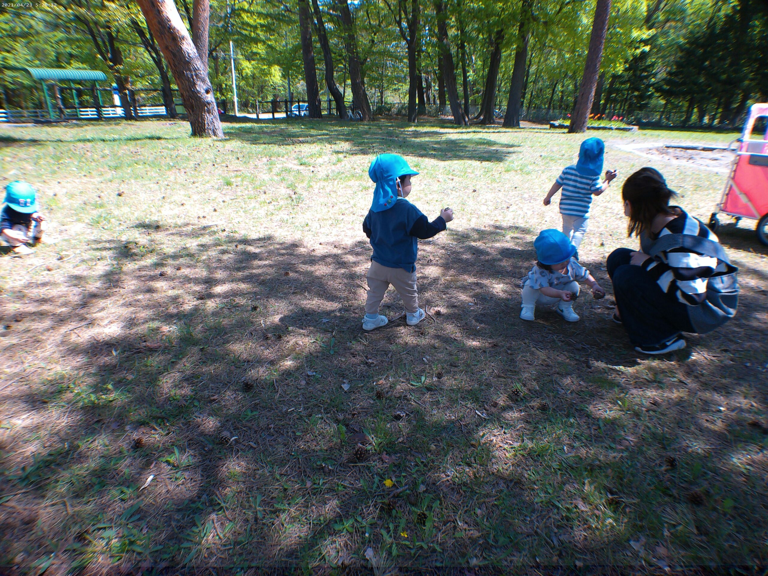 宮の森保育園　お散歩中の様子😊