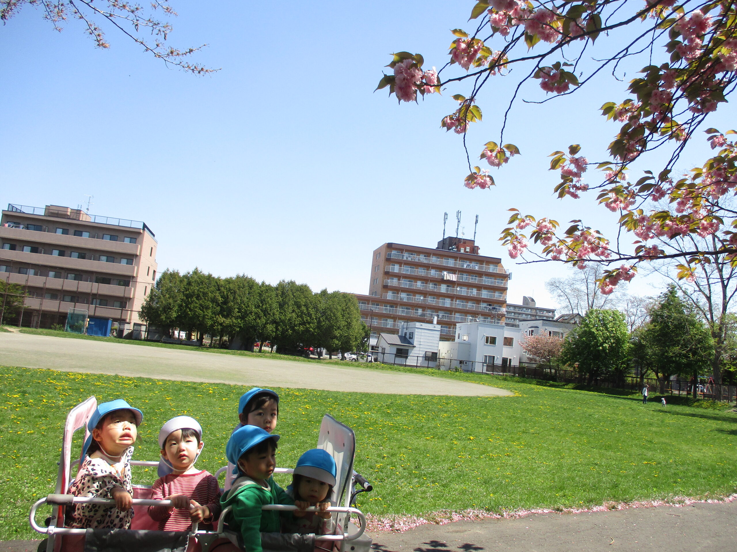 白石園　皆で春を感じに🌸