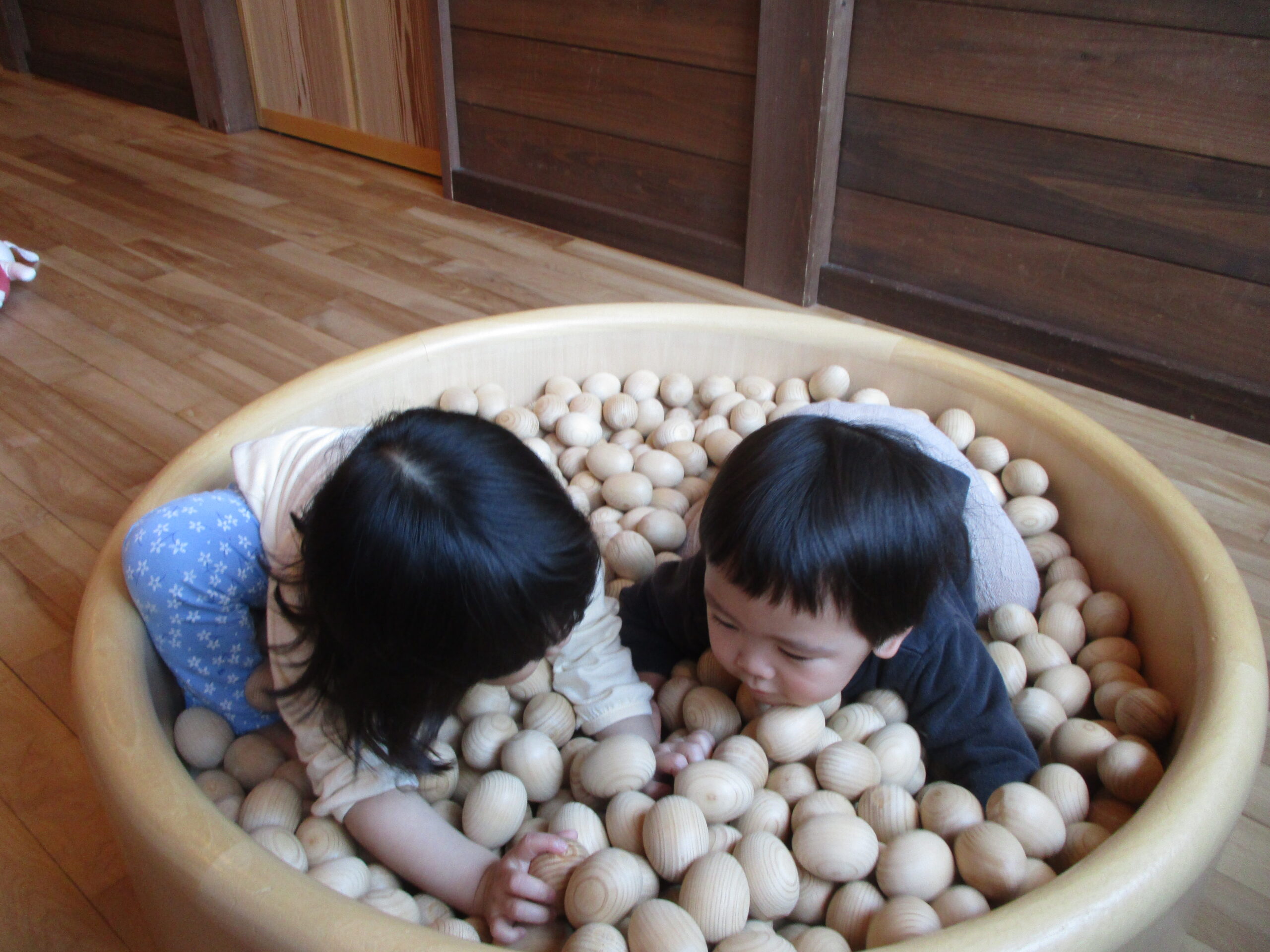 藤野園　木のたまごプール