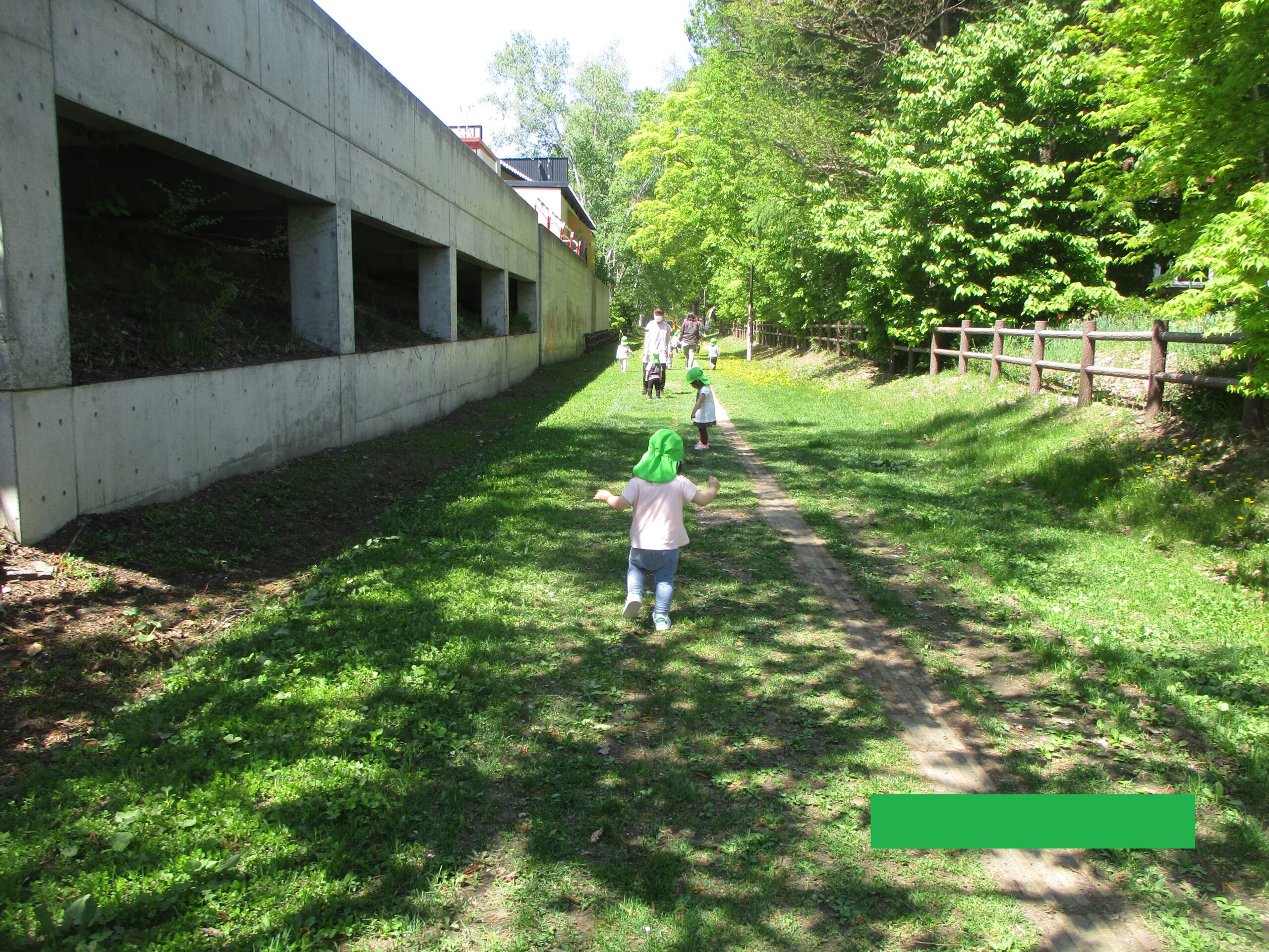 藤野園　自然がいっぱい🍃