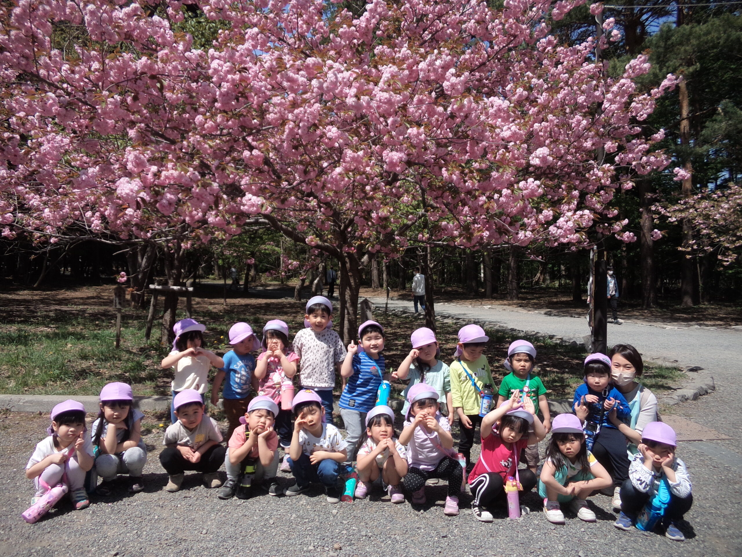 南の沢保育園　春のお花見遠足