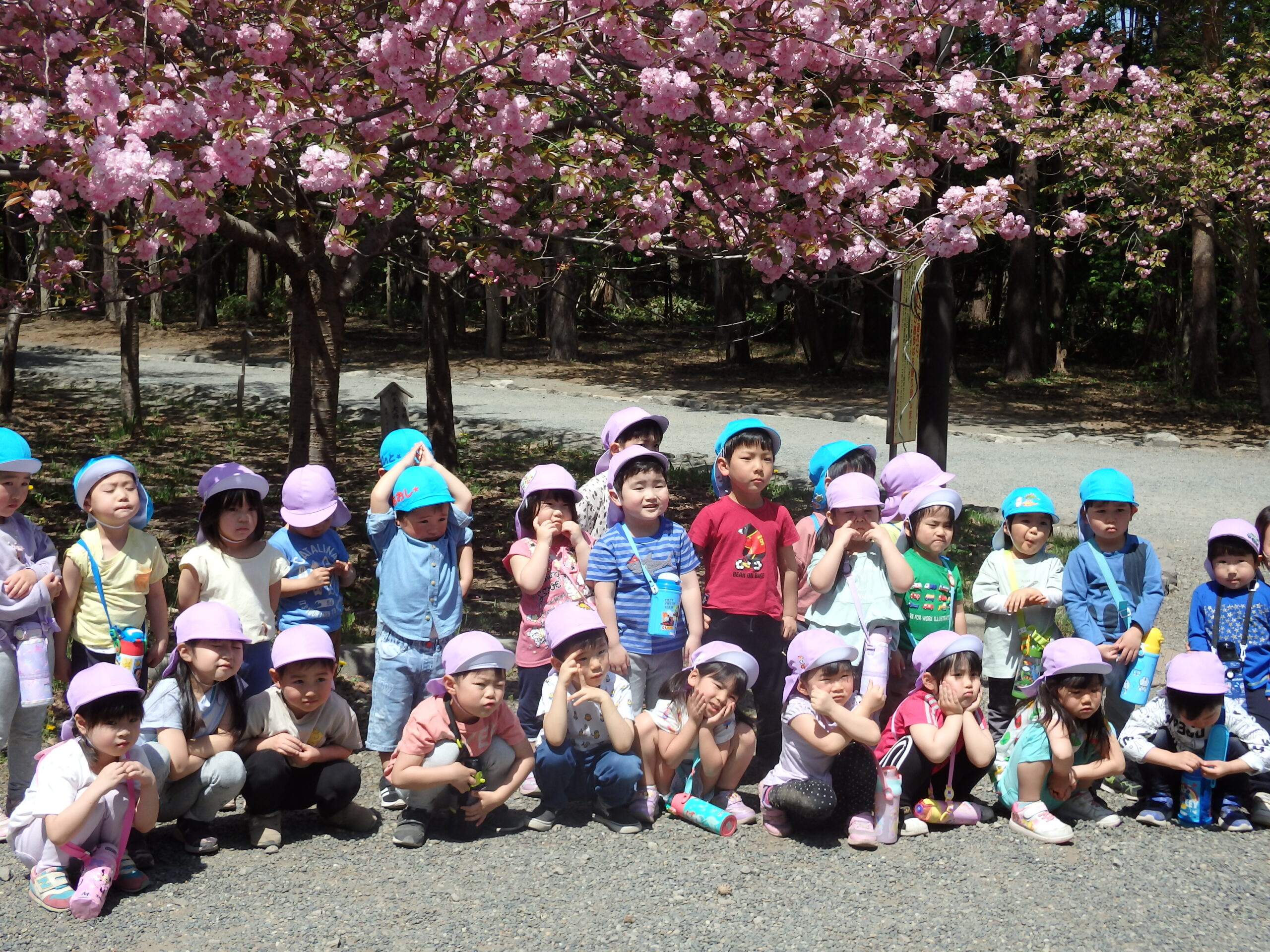 宮の森保育園　お花見🌸遠足🍱