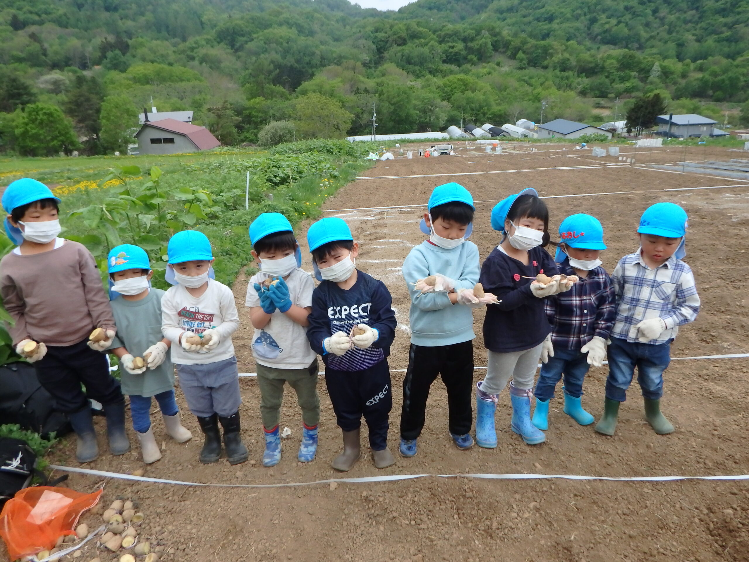 宮の森保育園　芋植え🥔