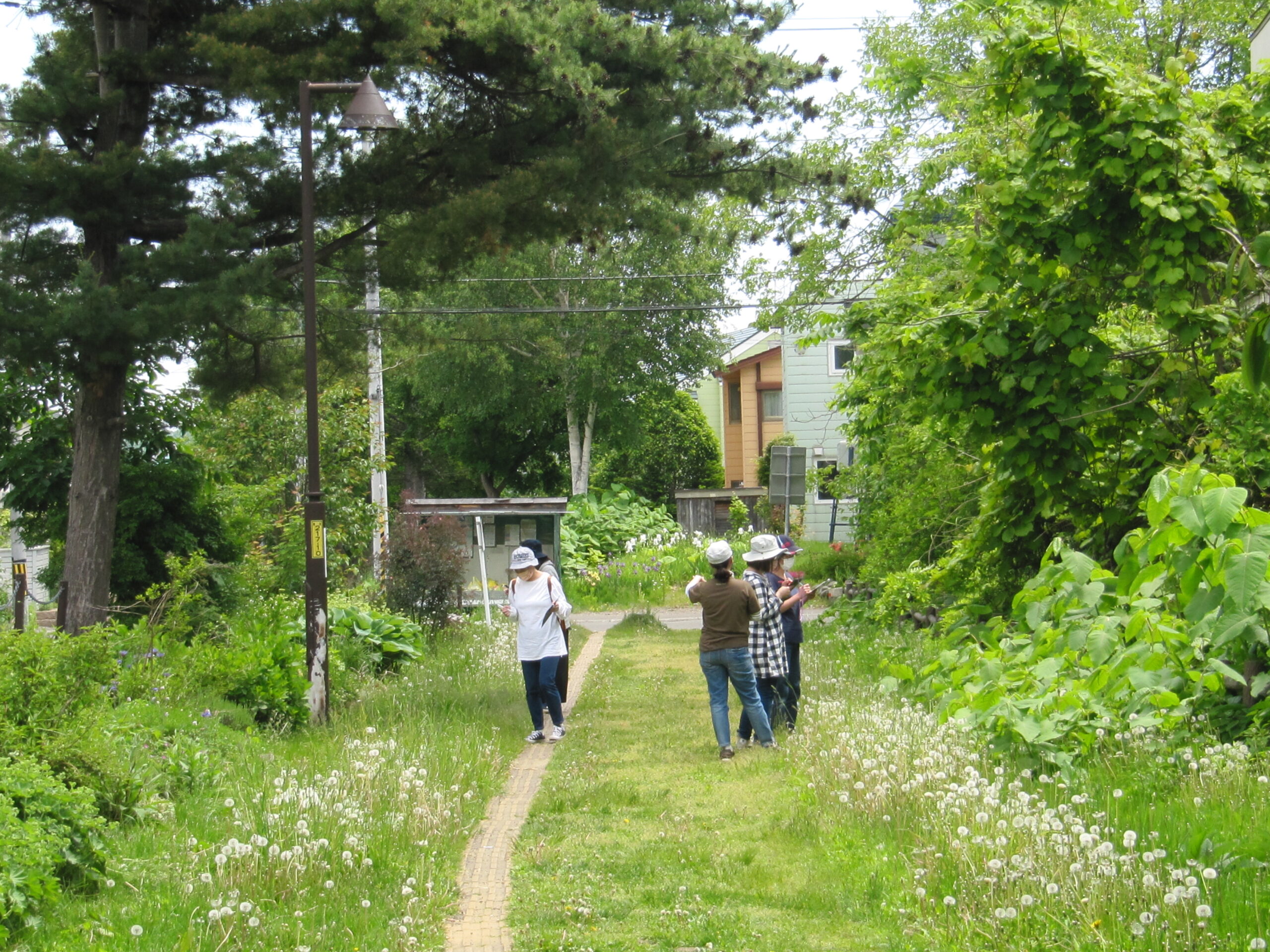 木育こどもの家　木育マイスターによる園外研修の日😊