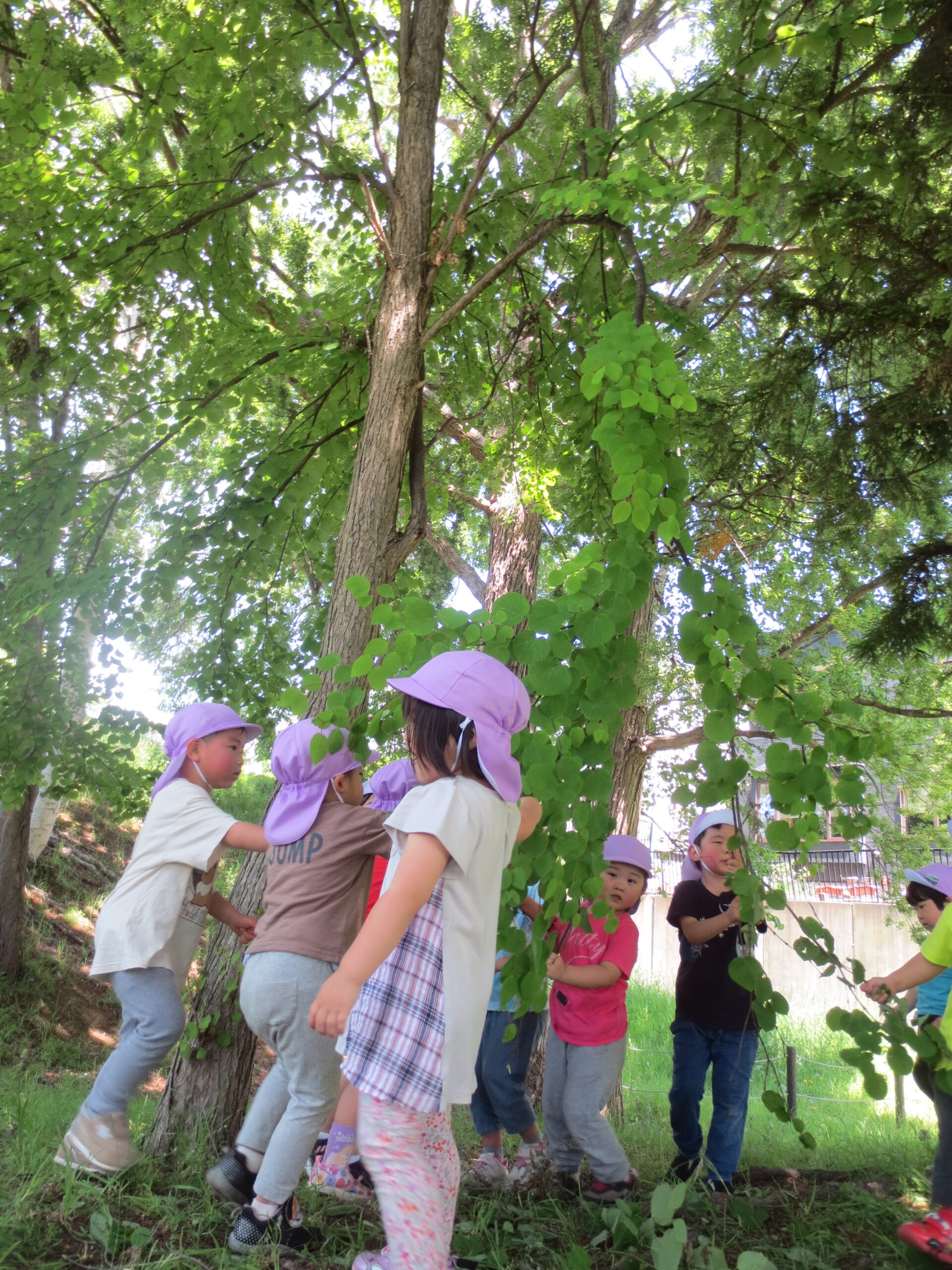 南の沢園　３・４・５歳児　戸外あそび