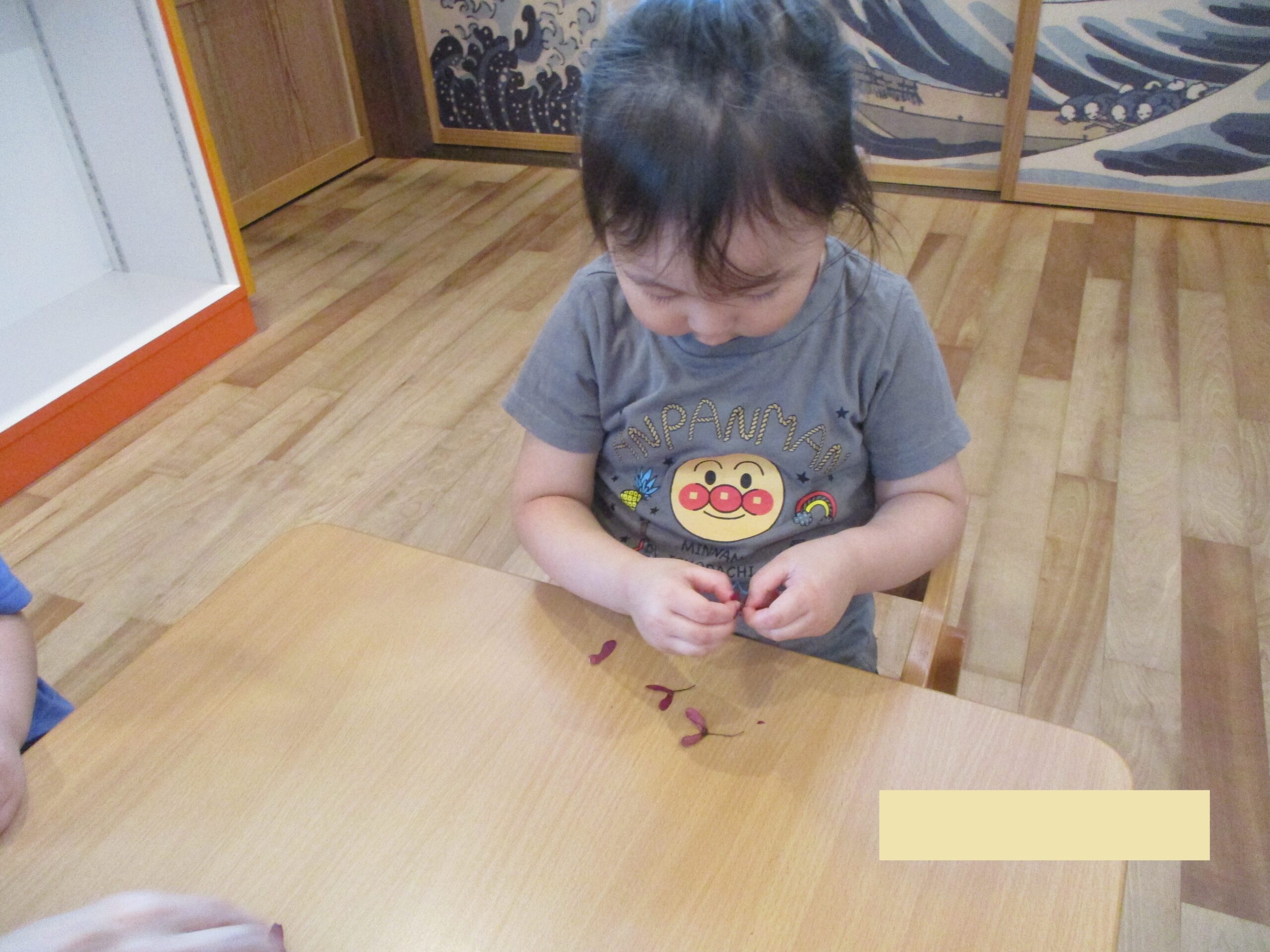 藤野園　これなんだ？