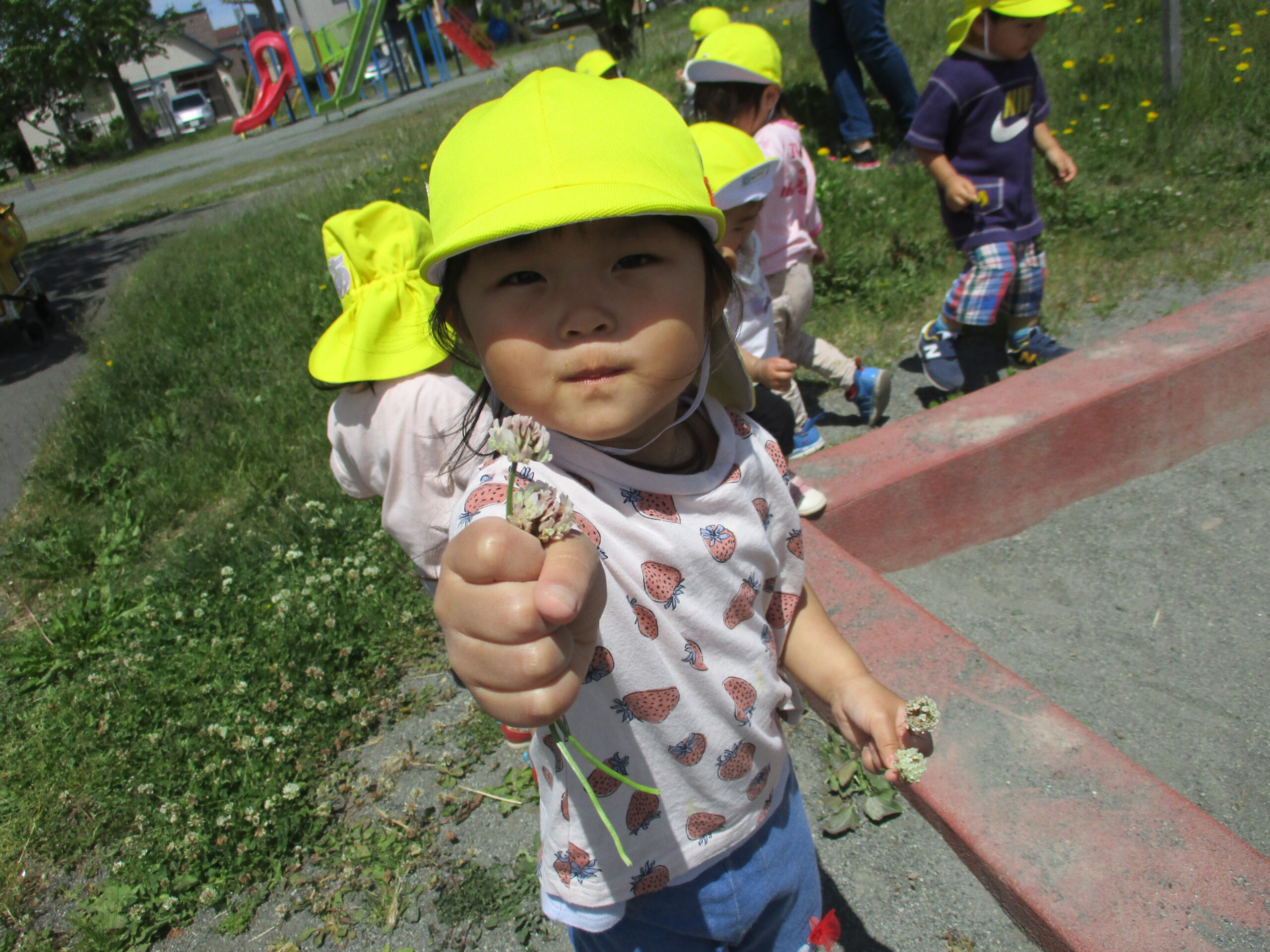 新川園　身近なところでみ～つけた✨