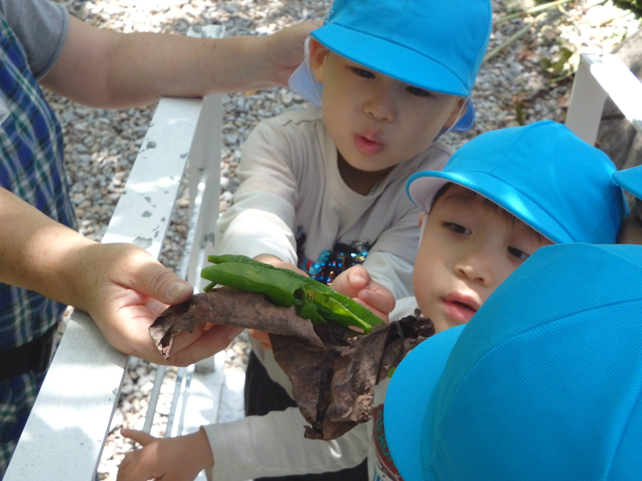 宮の森保育園　宮の森のお友だち