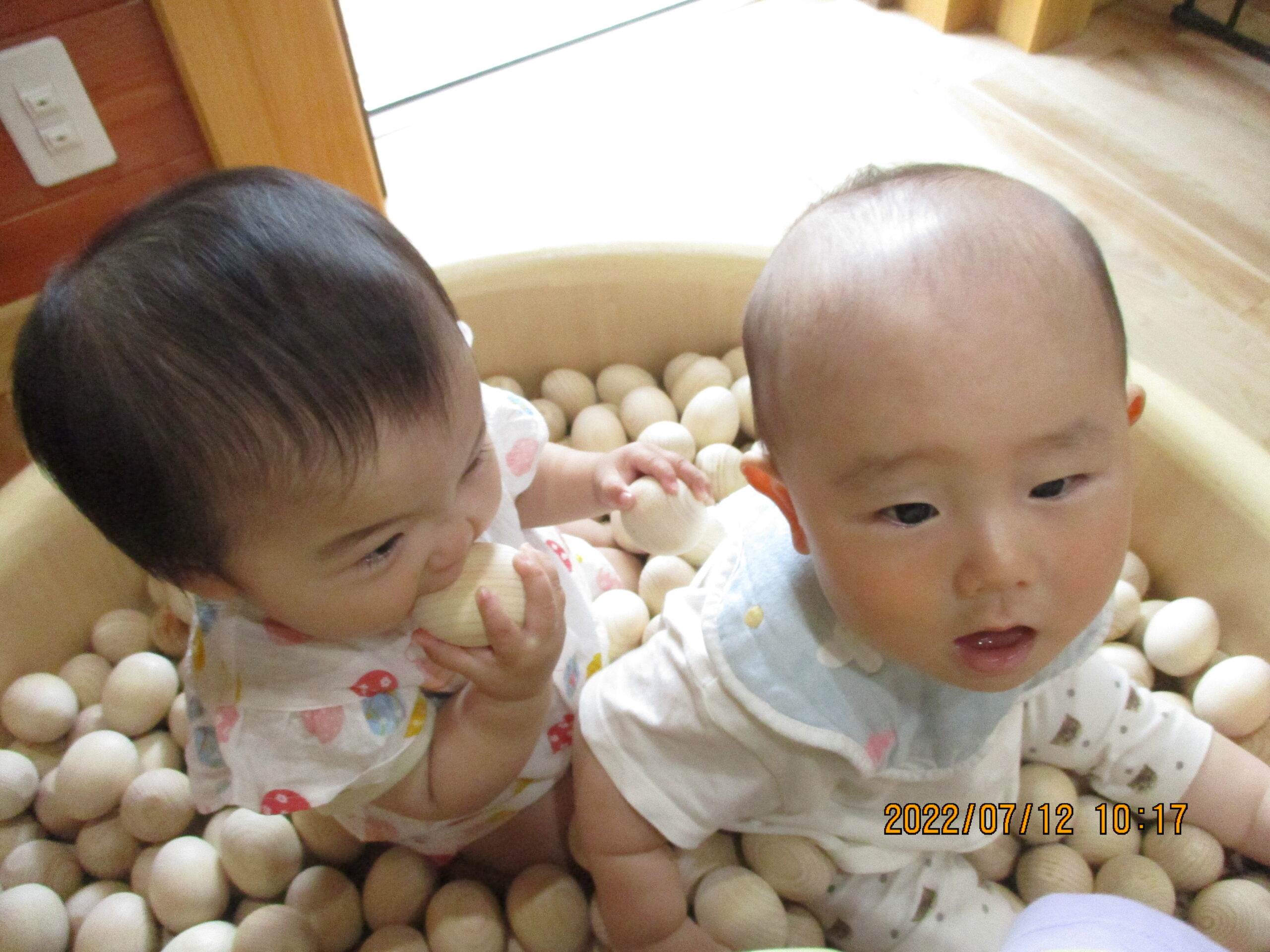 白石園　木の玉で遊んだよ😊