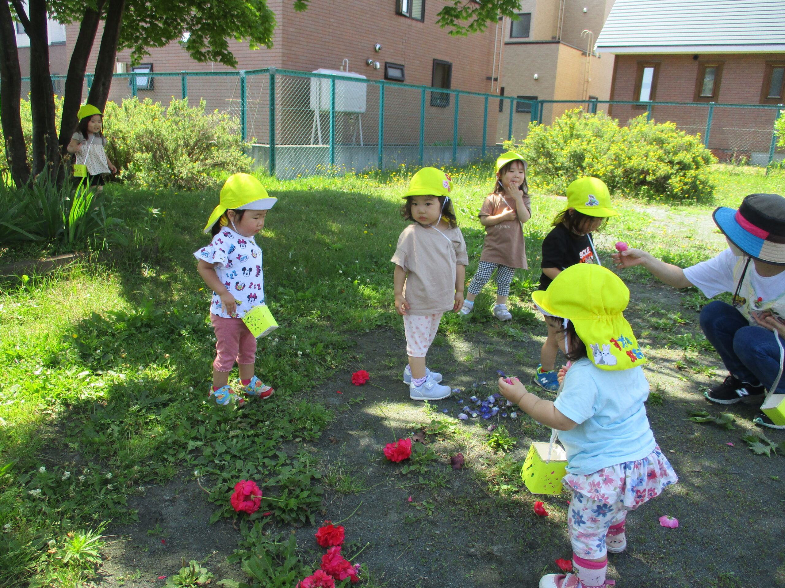 新川園　お花のトッピング🌺