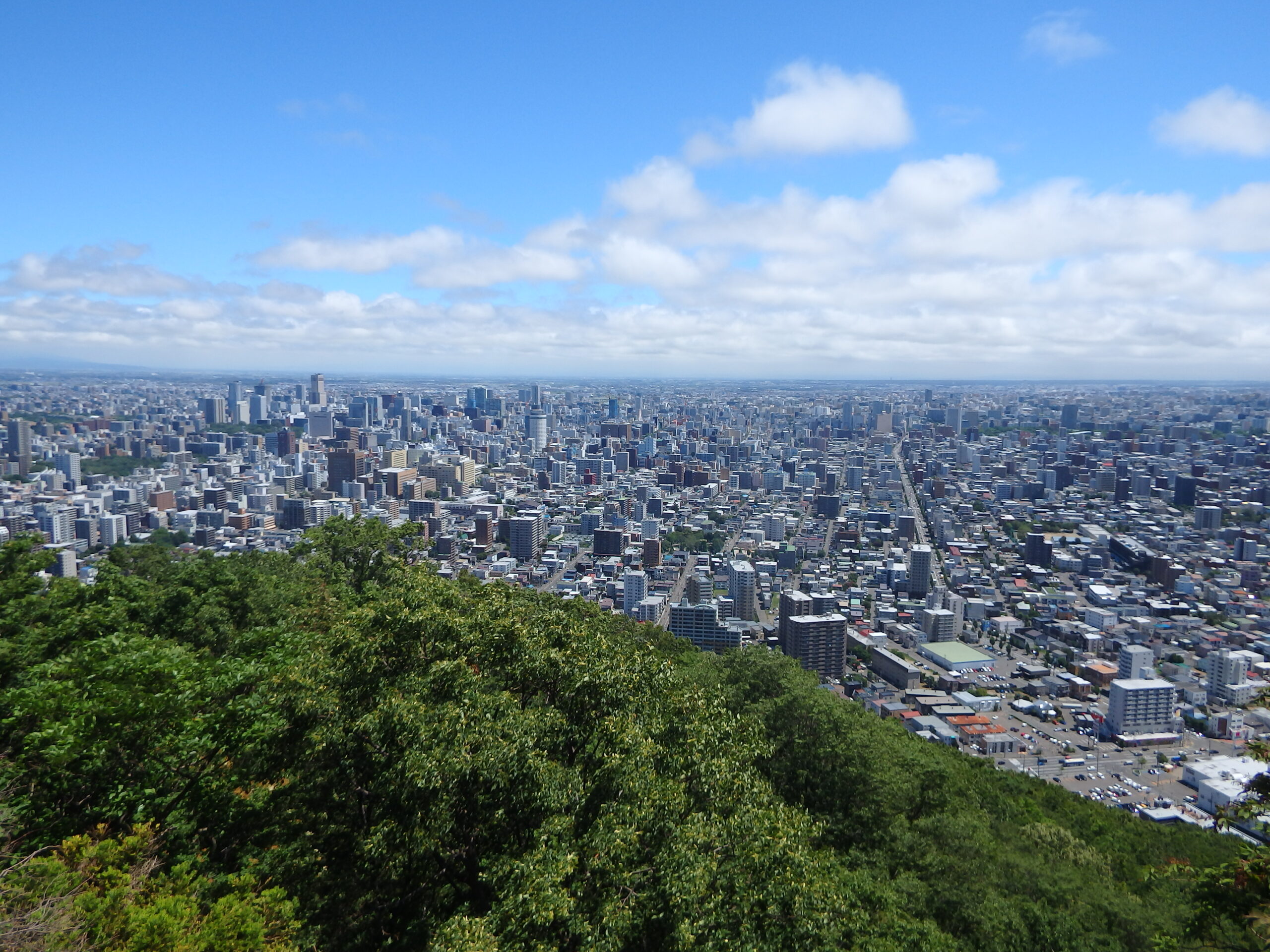 宮の森保育園　円山登山⛰️