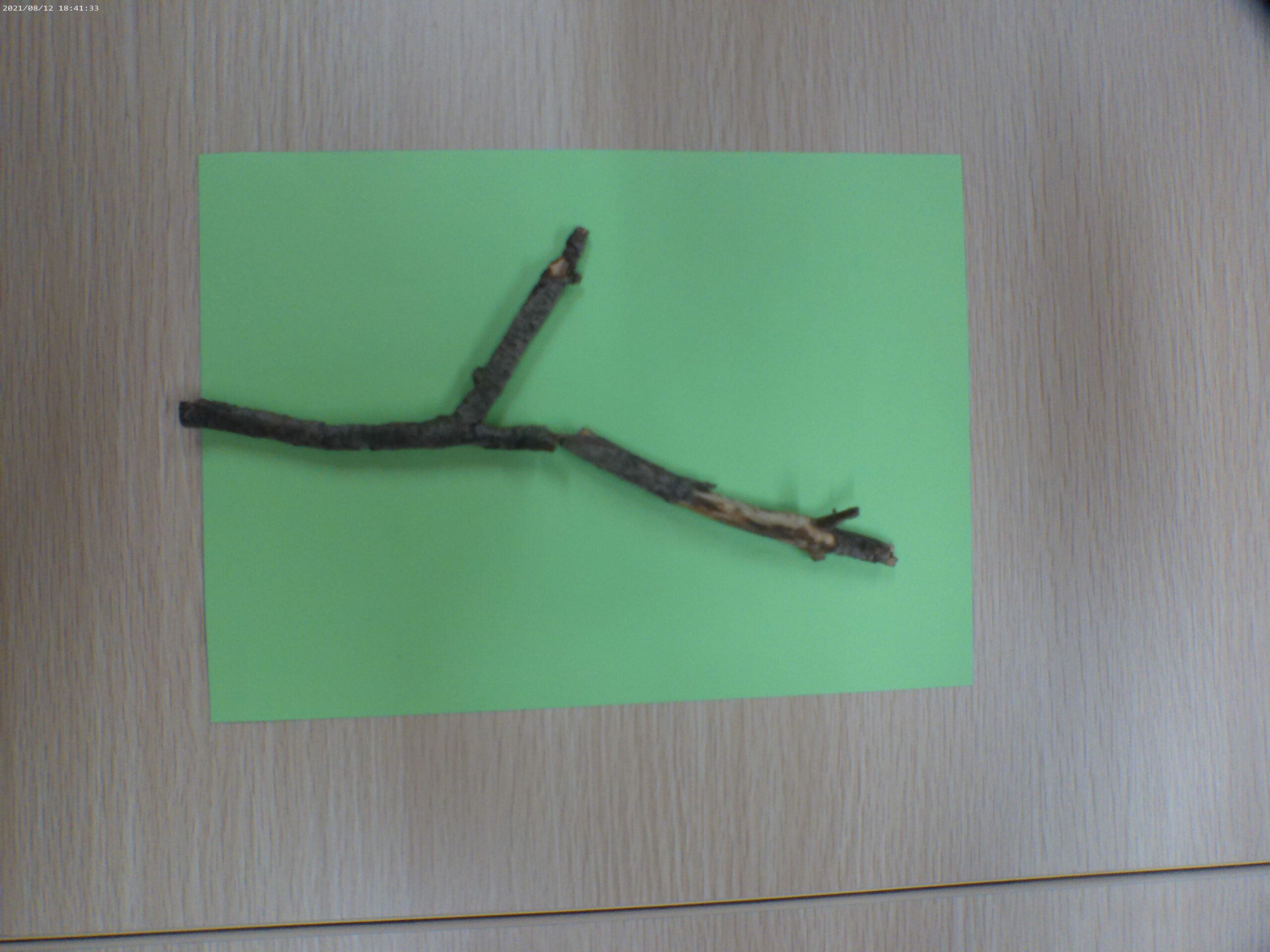 宮の森保育園　木を使って・・・🌿