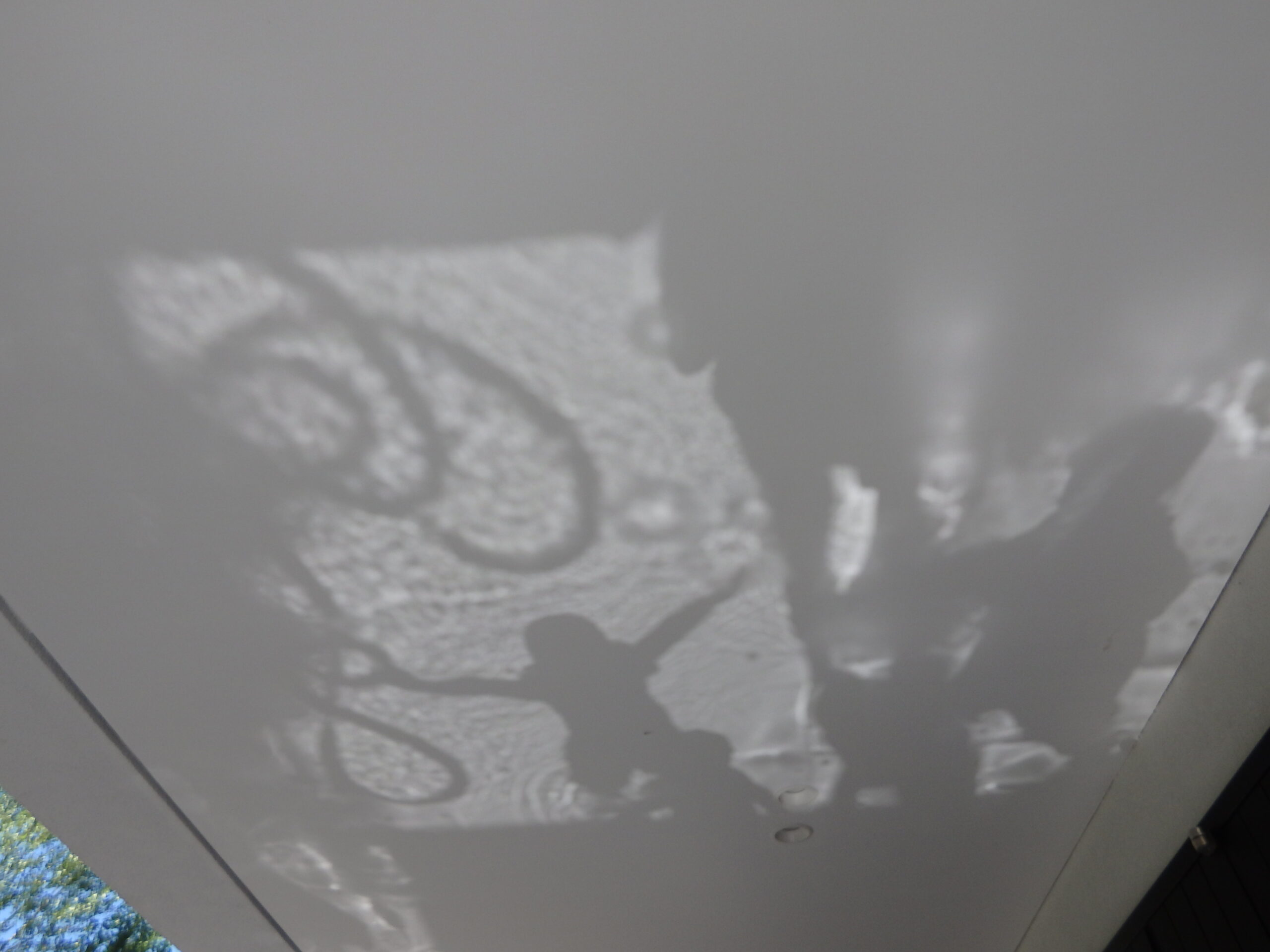 宮の森保育園　自然現象って面白い！