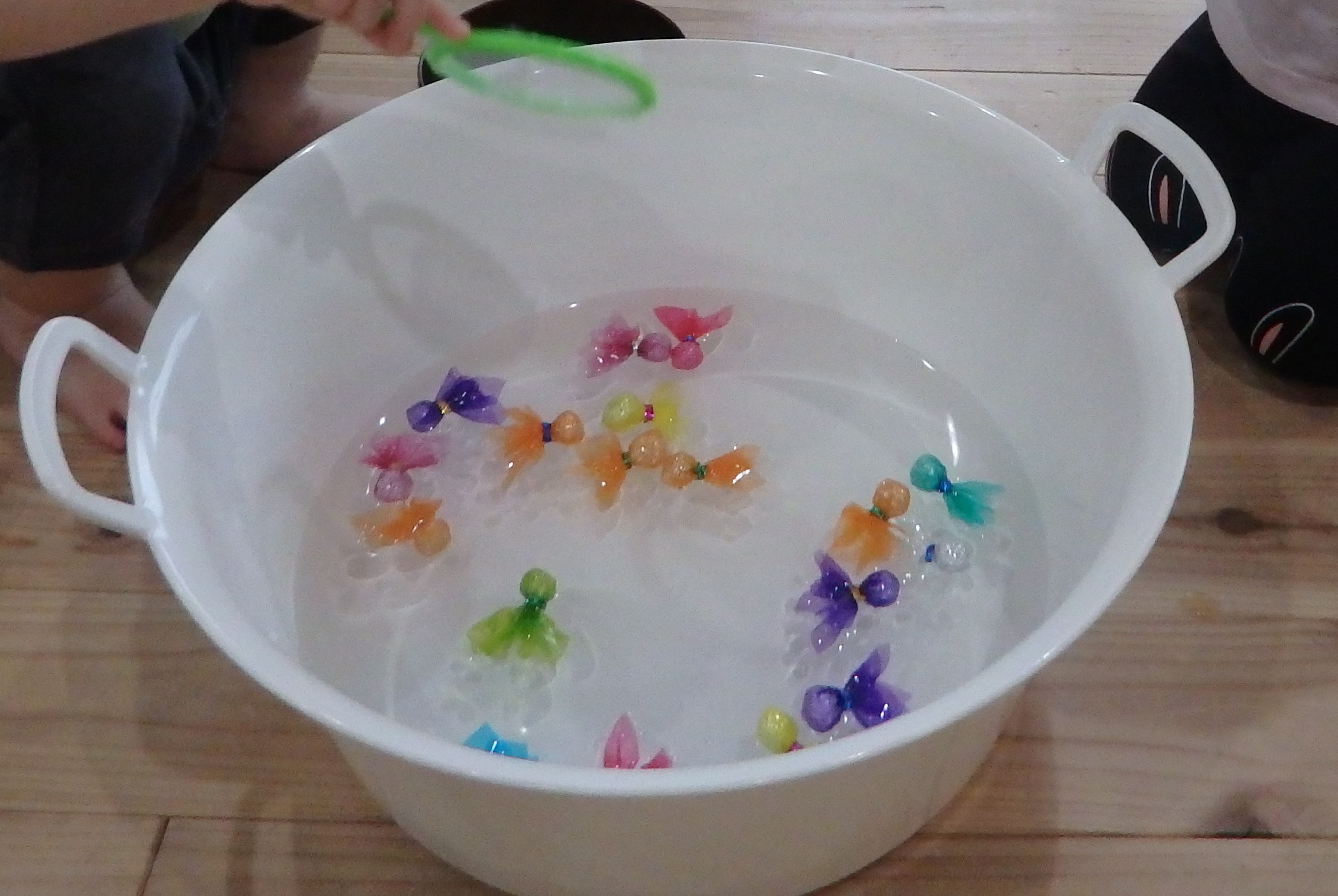 宮の森保育園　金魚が・・・