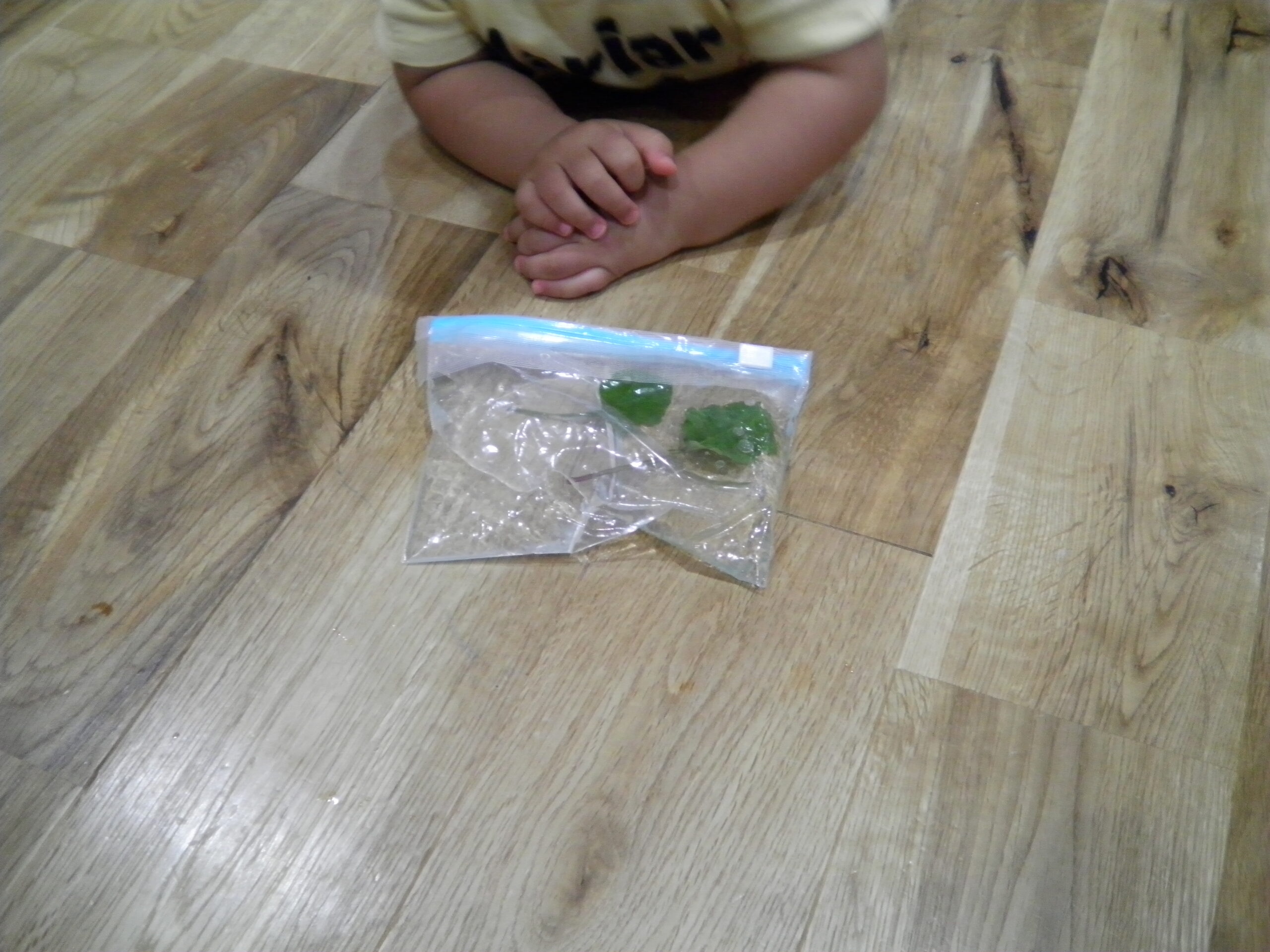 南の沢園　感触遊び