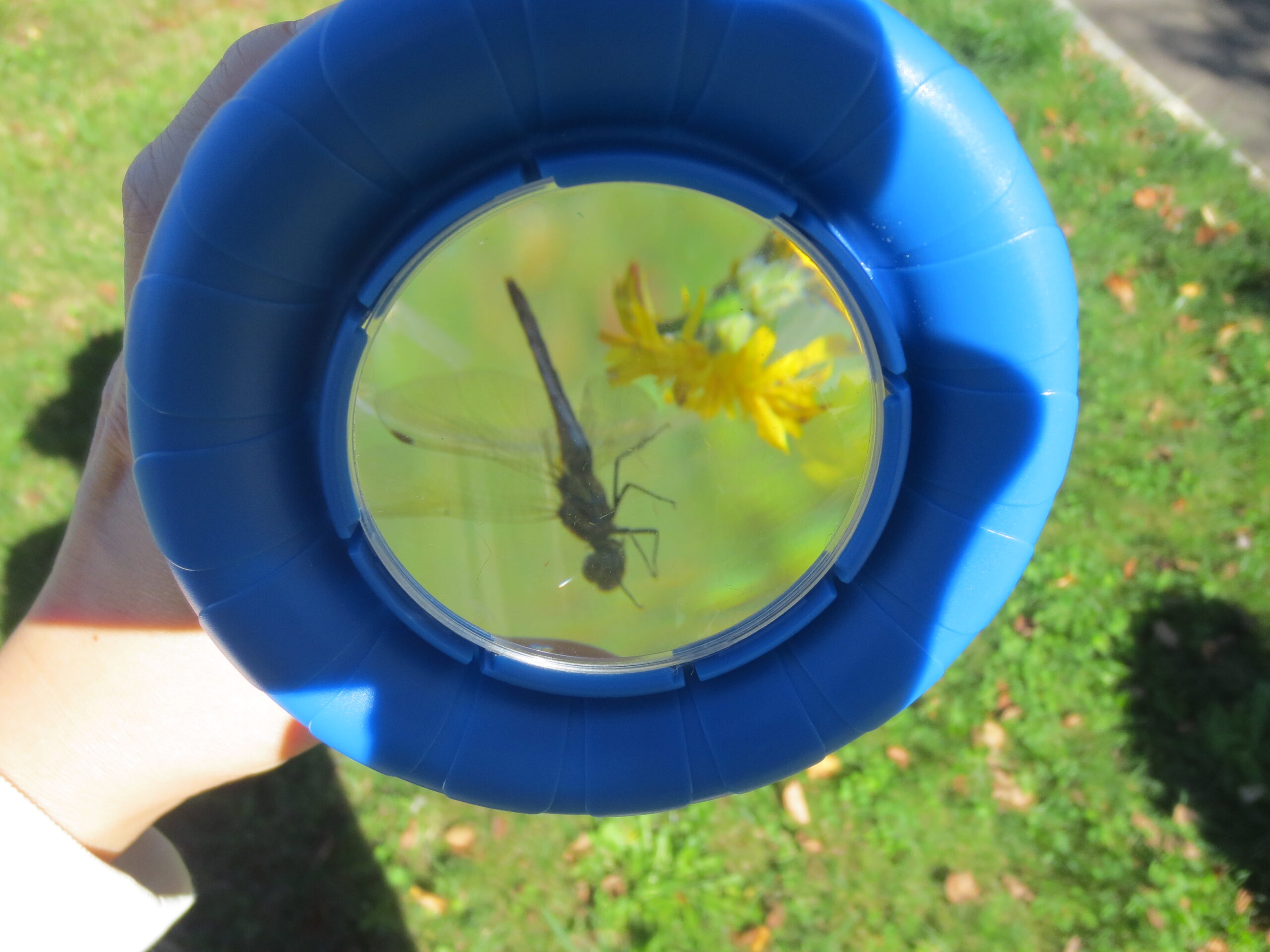 南の沢園　何が見えるかな？？？