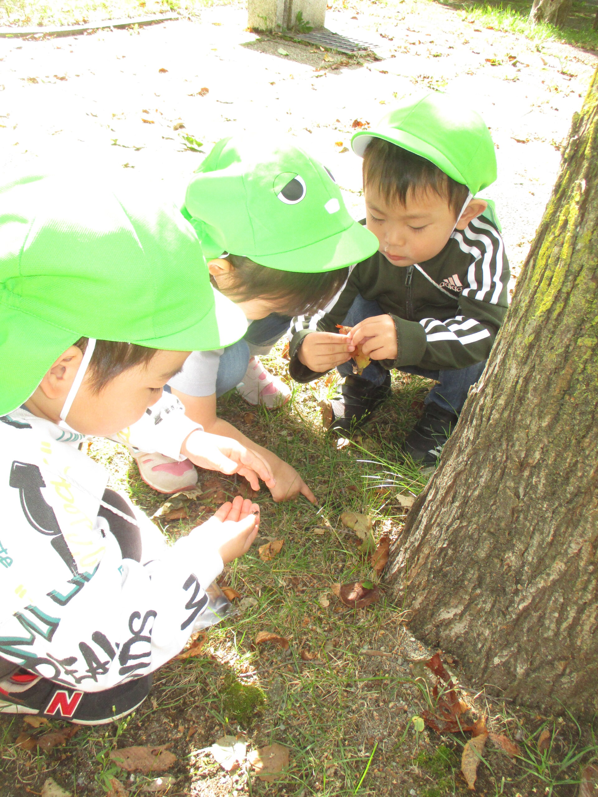【藤野園】遠足