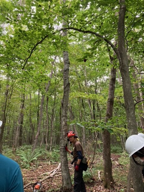 木育マイスター研修２日目