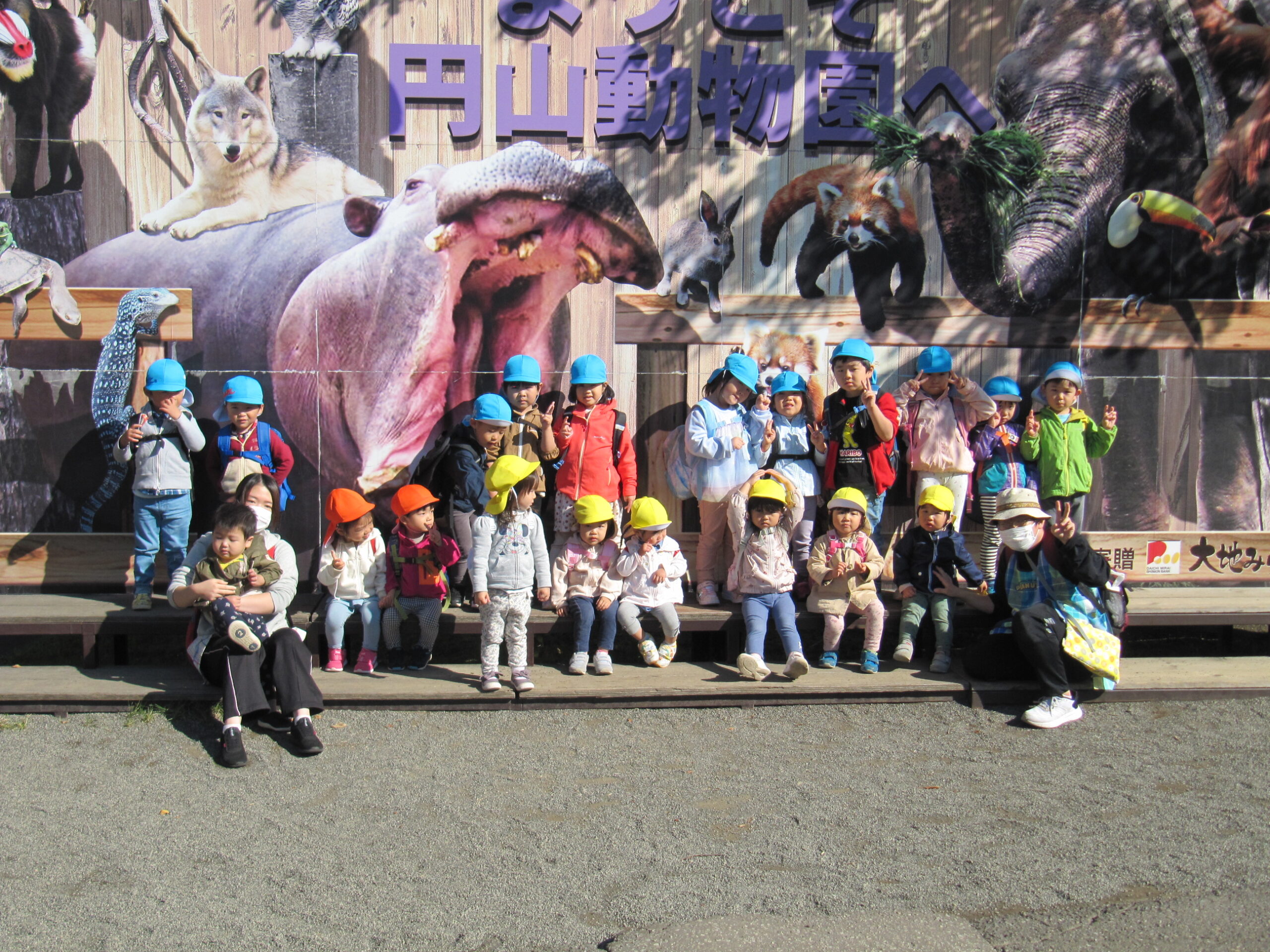 屯田園 2歳児クラス😊　 円山動物園 合同遠足楽しかったね！