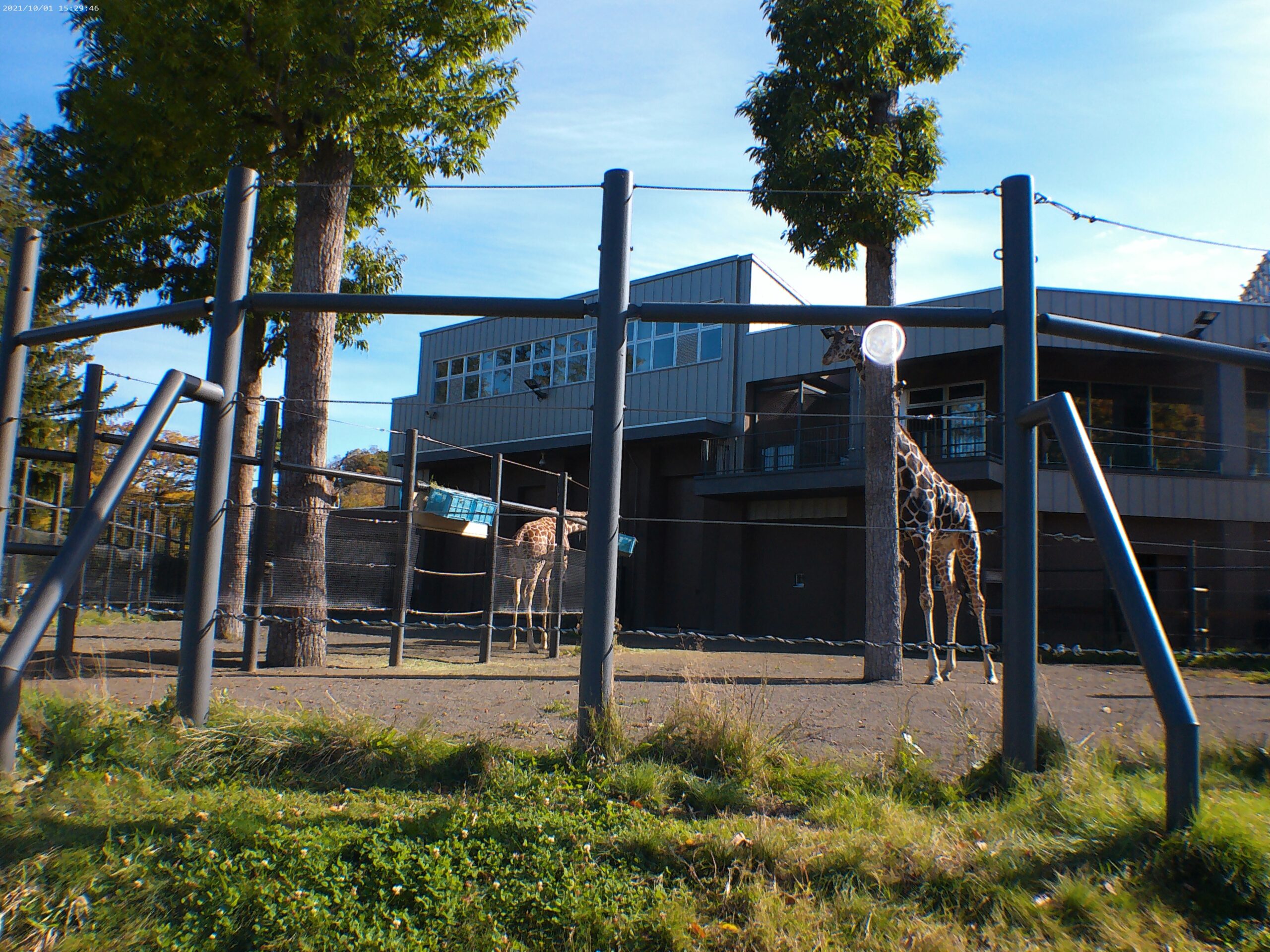 宮の森保育園　1歳児動物園🐒