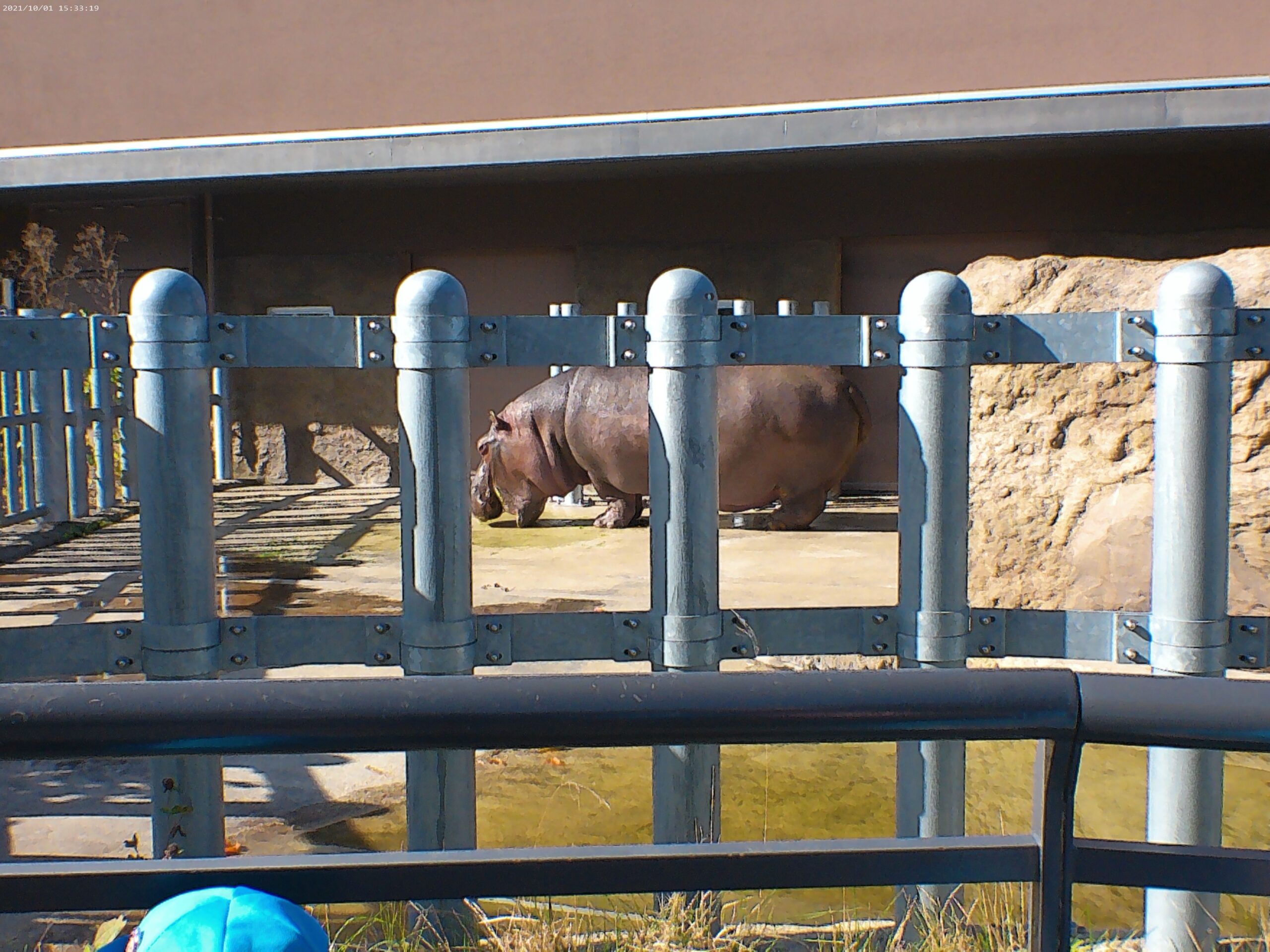 宮の森保育園　2歳児動物園遠足🐘