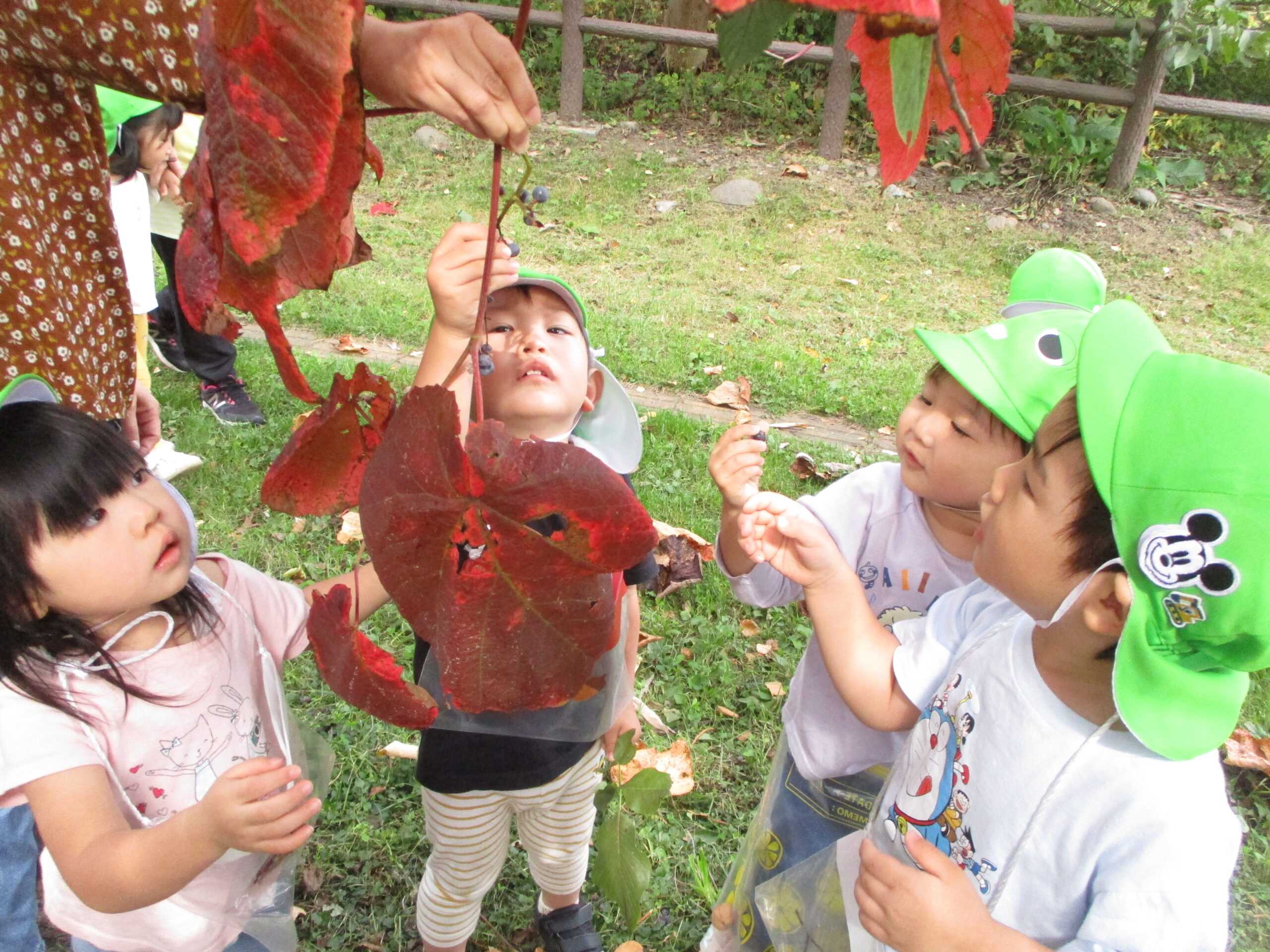 秋をたくさん探しに行きました🍂【藤野園】
