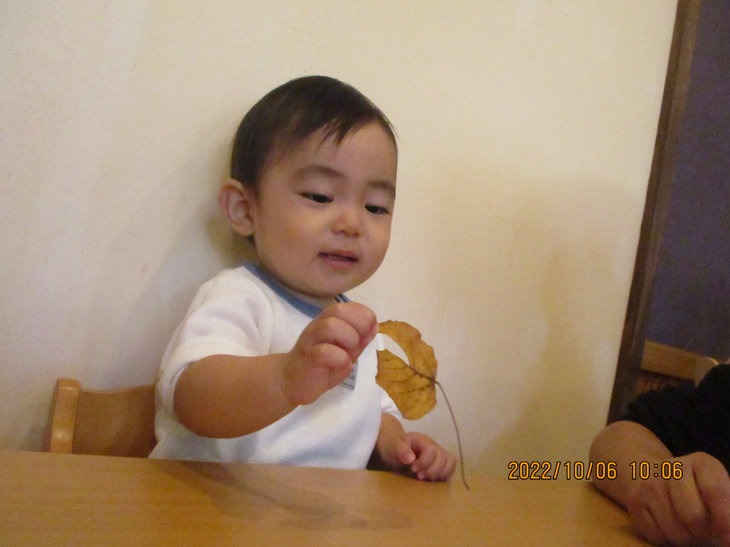 【藤野園】落ち葉製作①