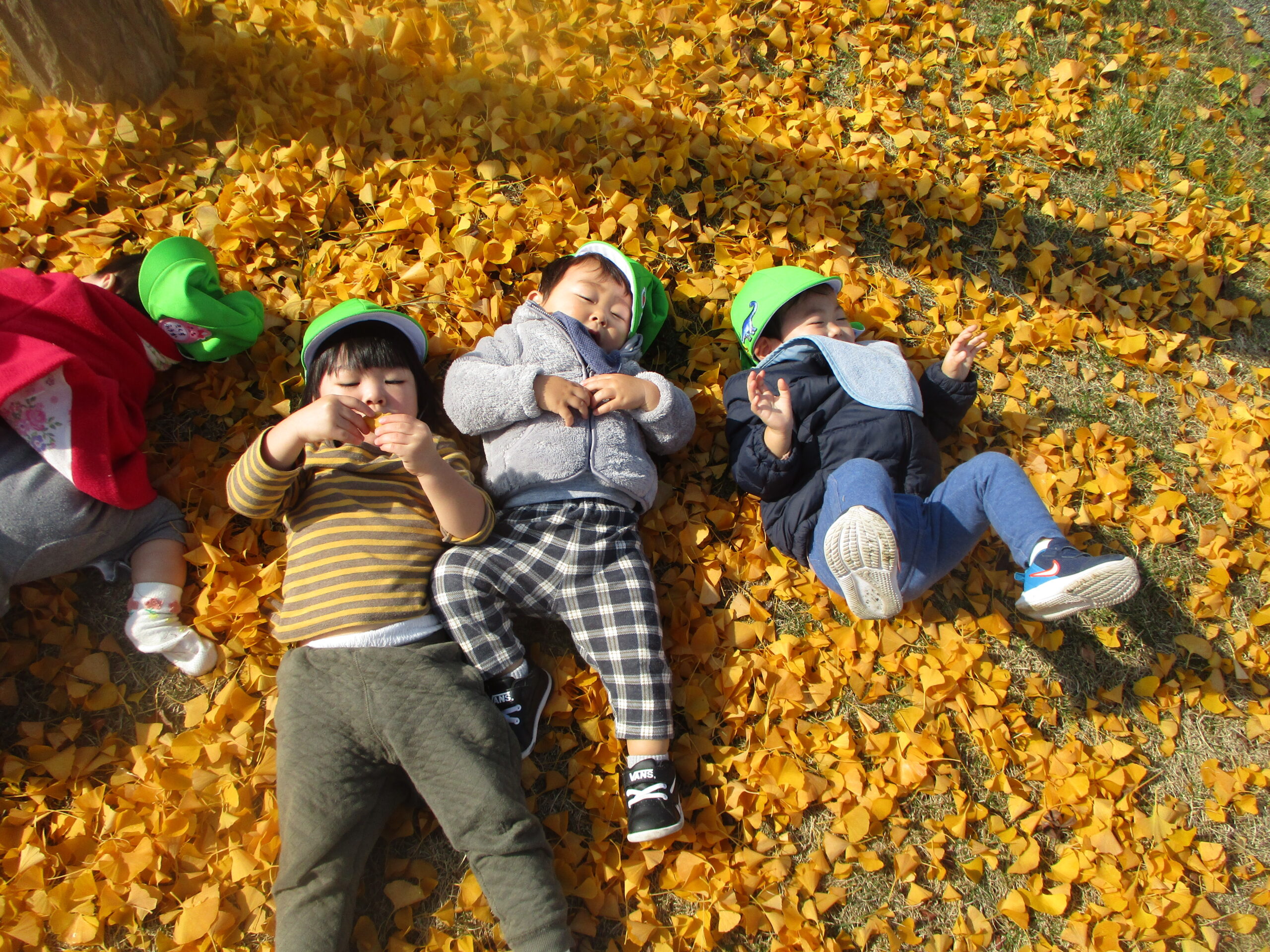 藤野園　公園に行ってきましたぁ！