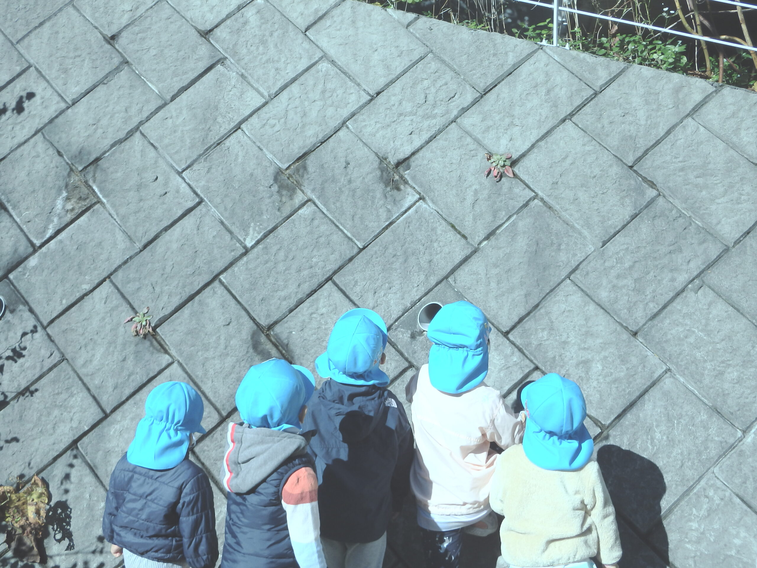 宮の森　何を見てるの？