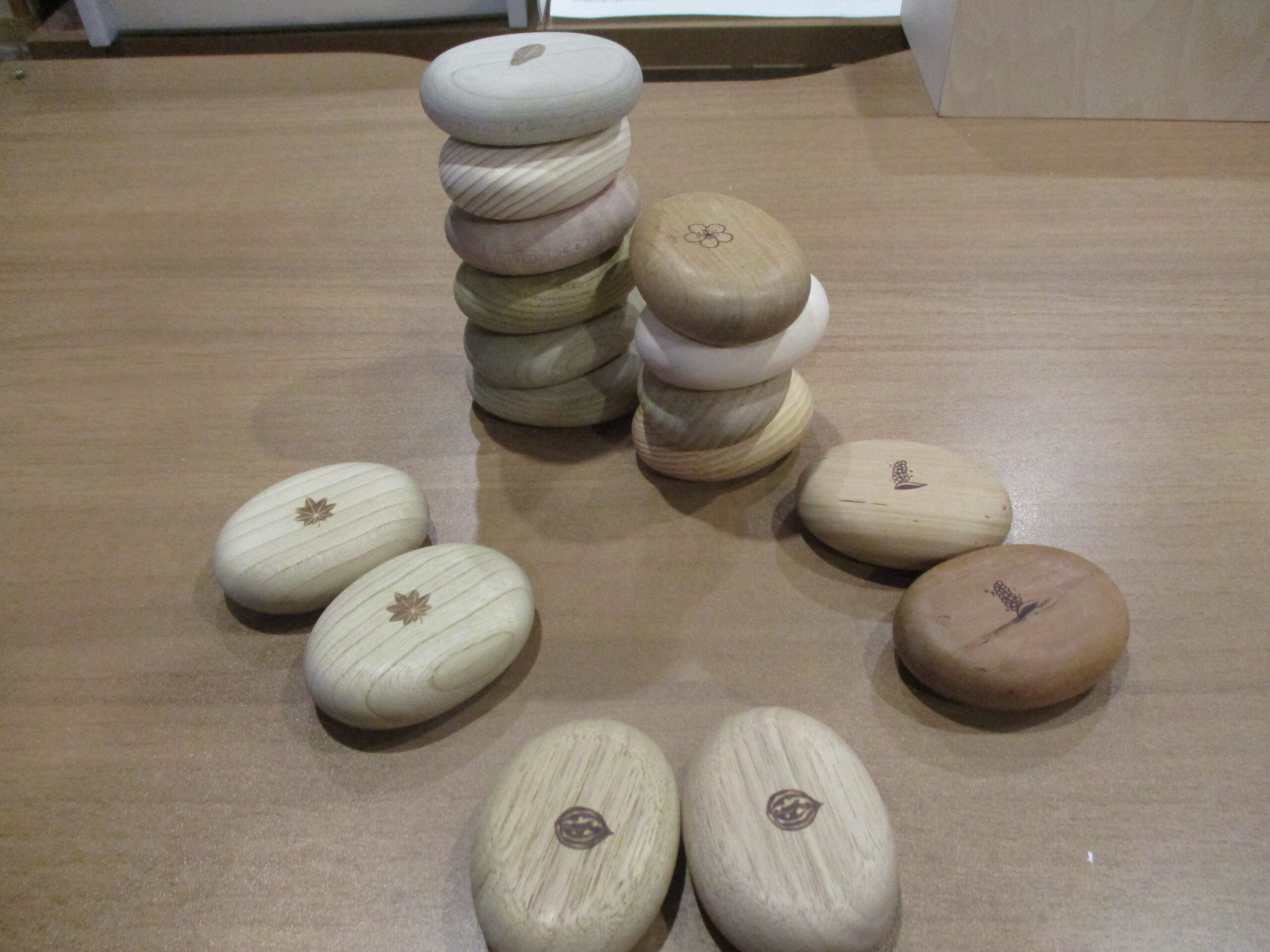 白石園　🌳　新しいおもちゃ　🌳