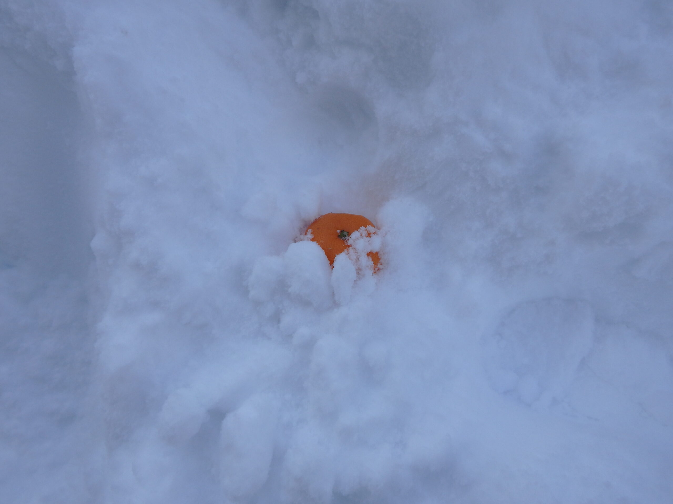 宮の森　お正月遊び🌄①