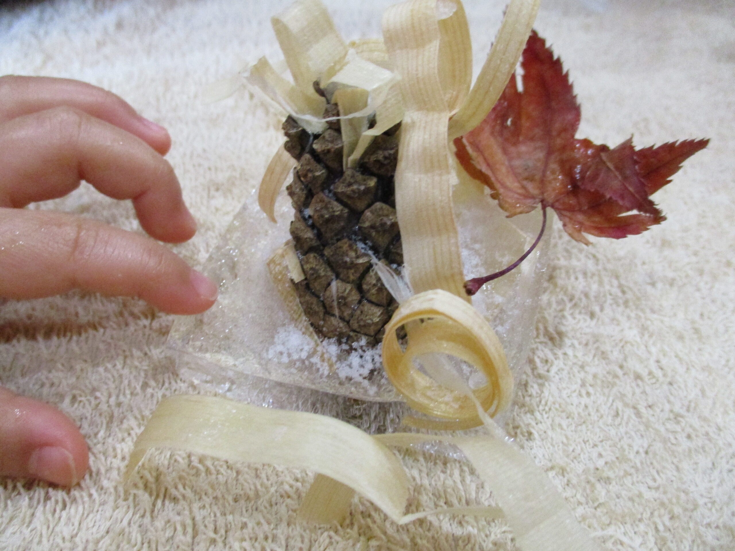 新川園　❄️氷作り❄️