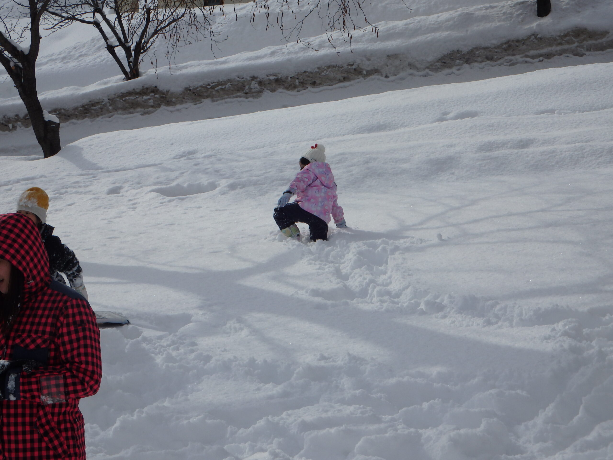 宮の森＆南の沢　幼児クラスで雪満喫⛄