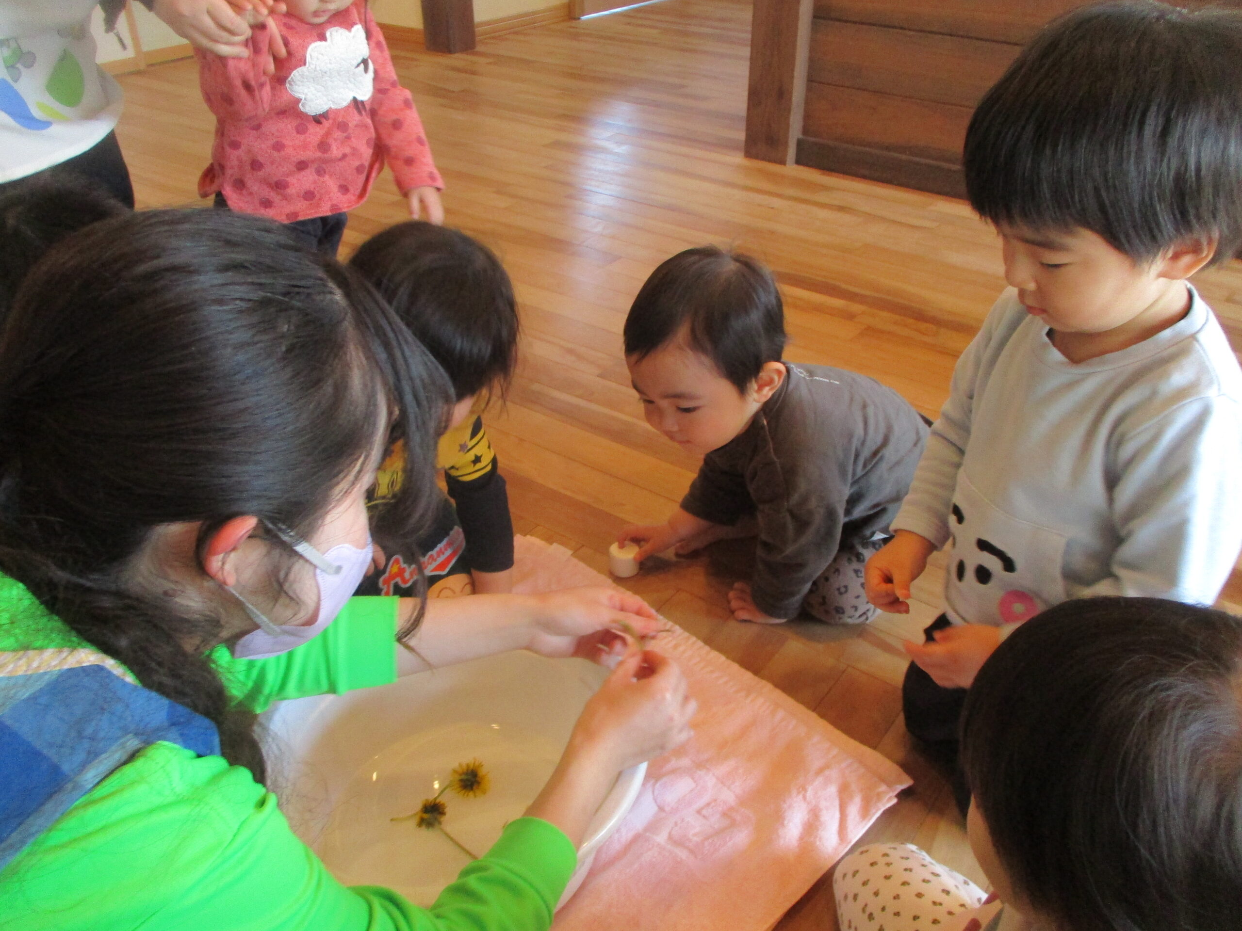 藤野園　春がきました！