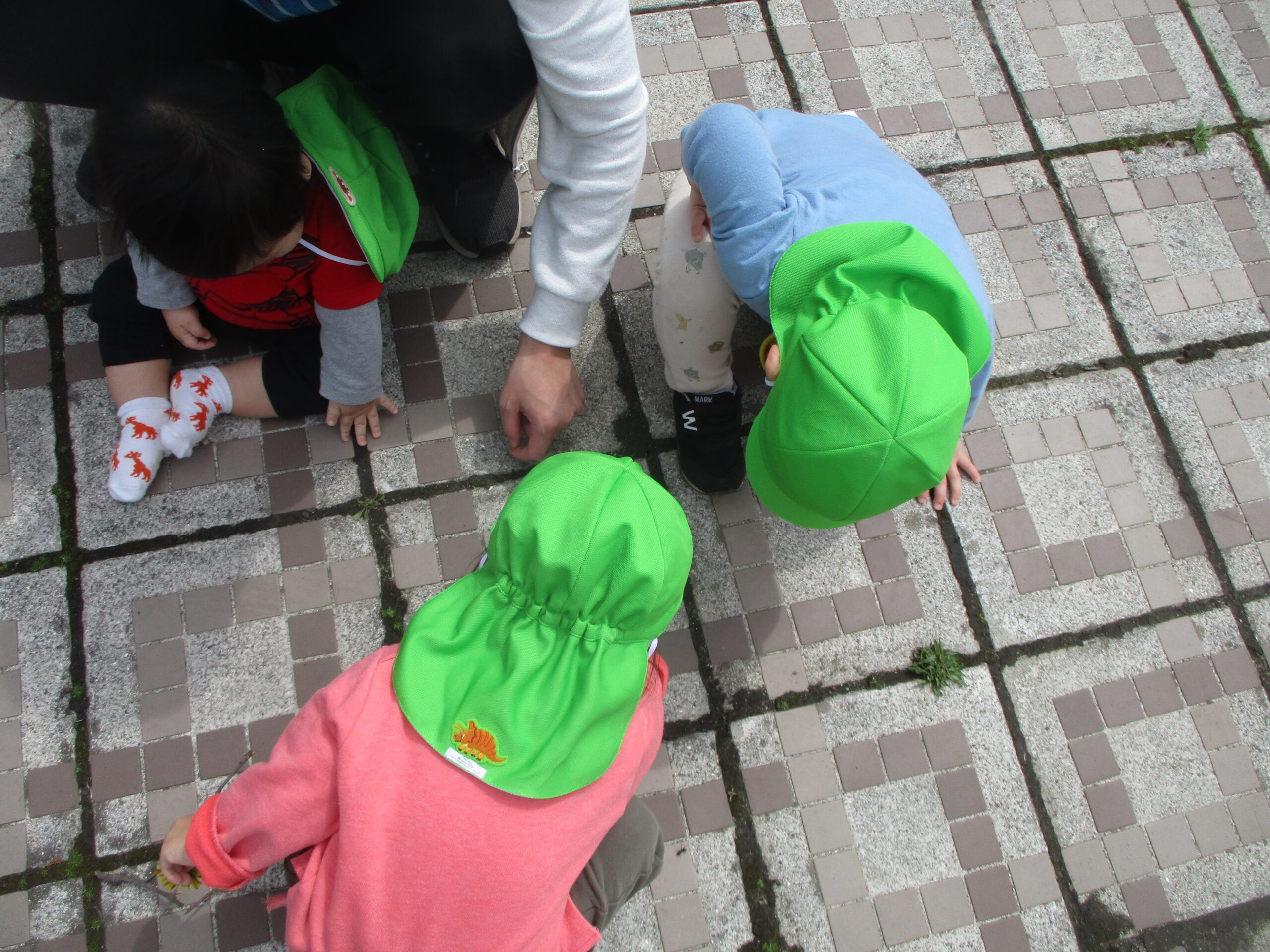 藤野園　どんぐり組　くるみ組　アリさんみ～つけた！