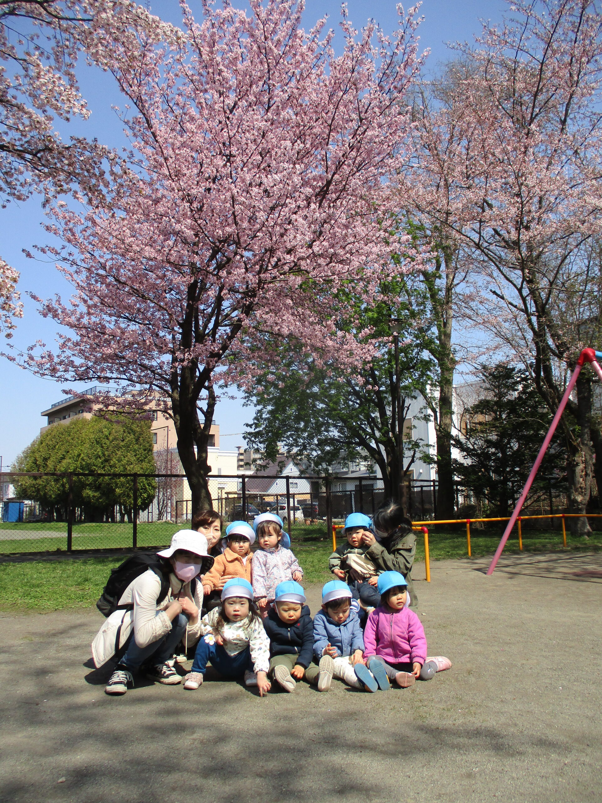 白石園　🌸お花見遠足①🌸