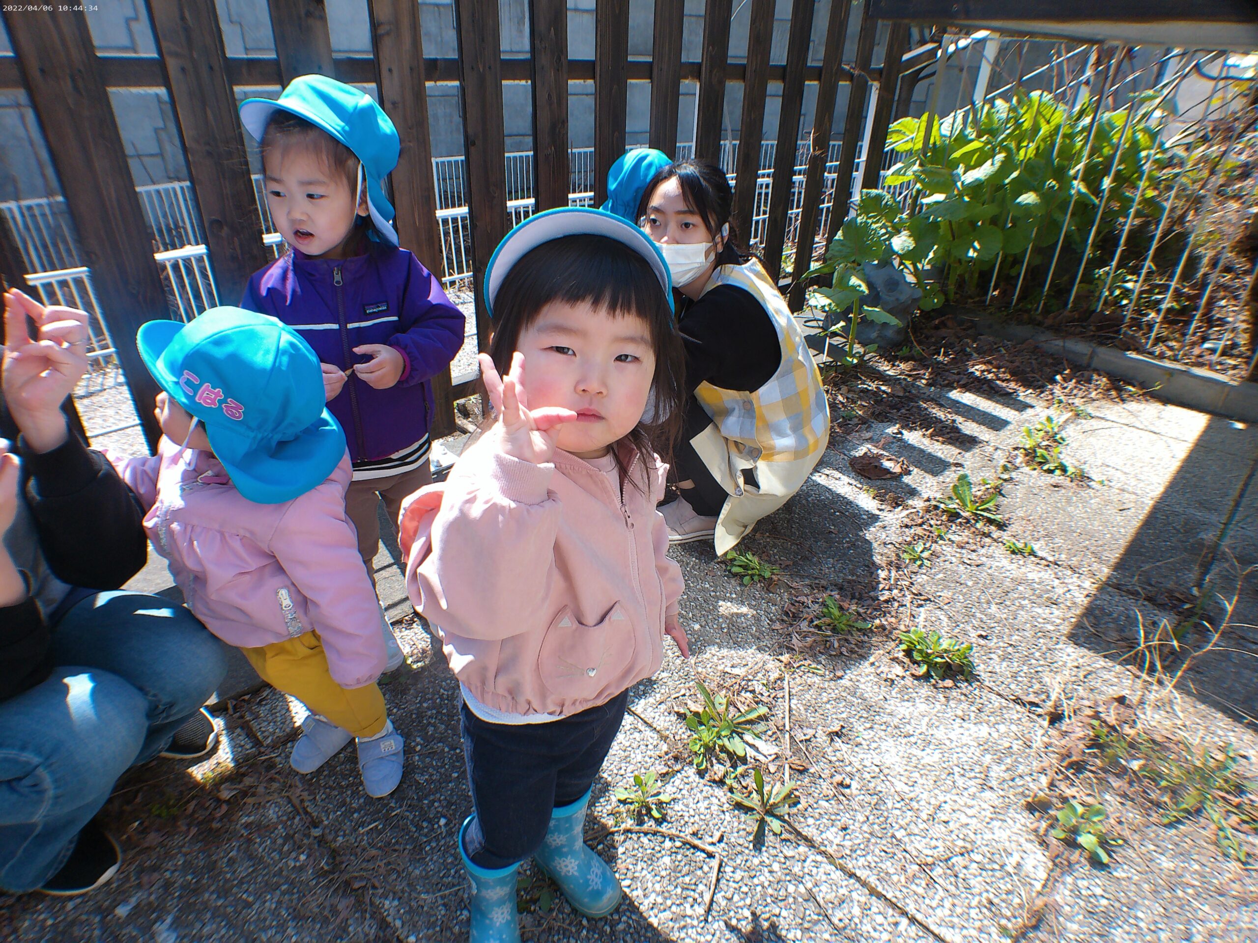 宮の森　春を感じよう！